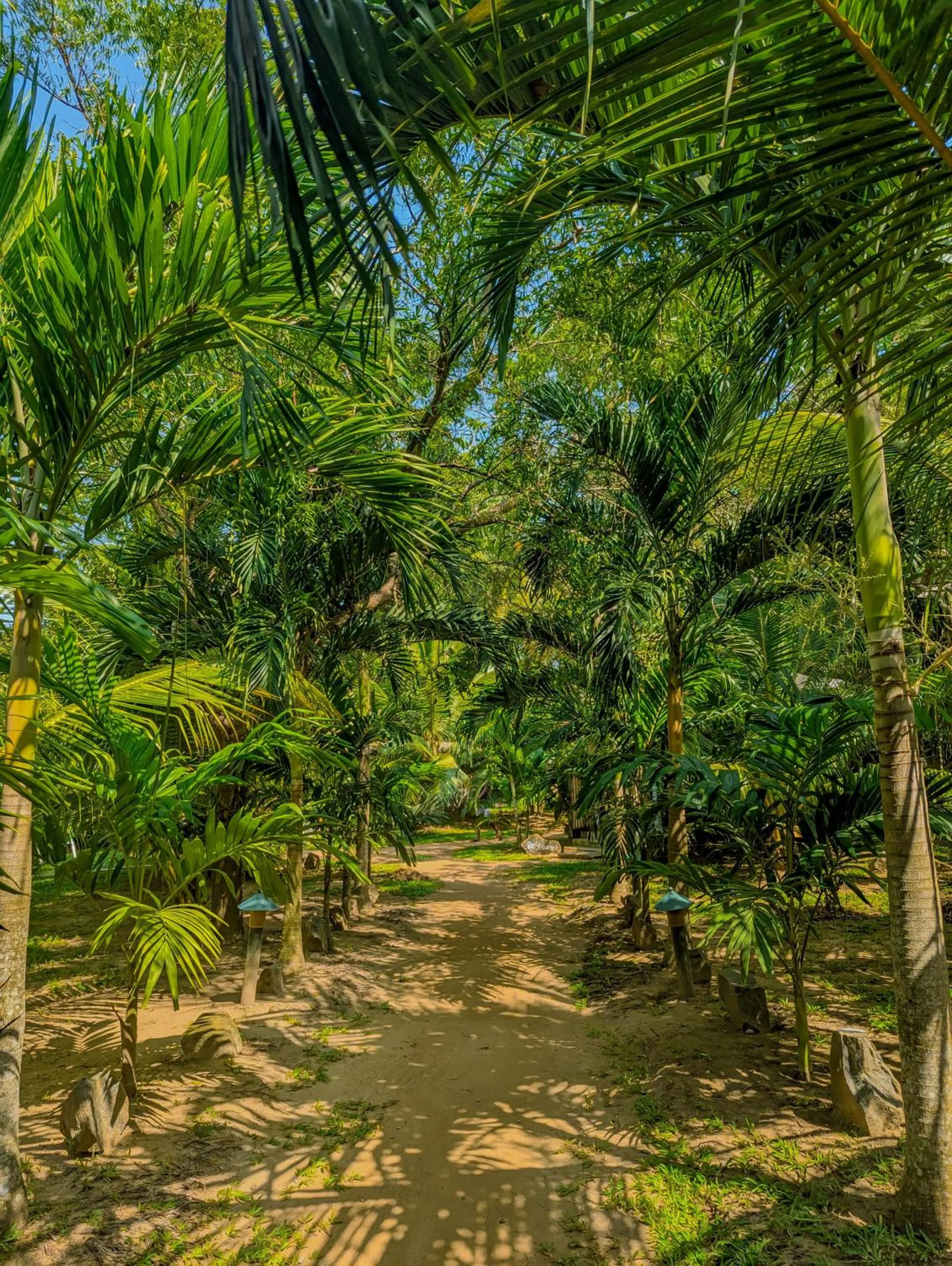 Garden view in Neem Jay Beach Resort