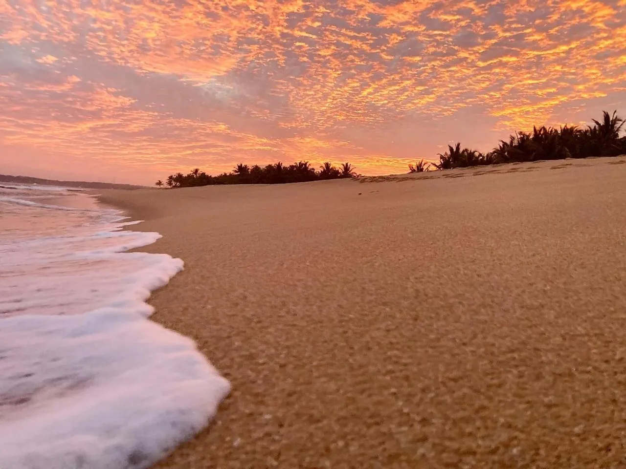 Beach in Neem Jay Beach Resort