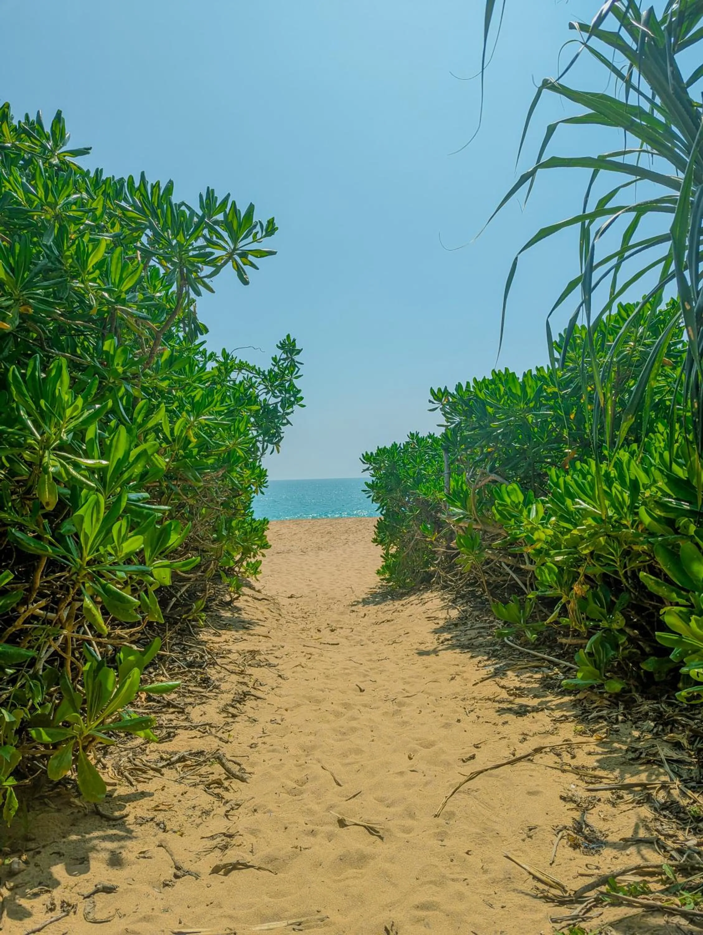 Sea view in Neem Jay Beach Resort