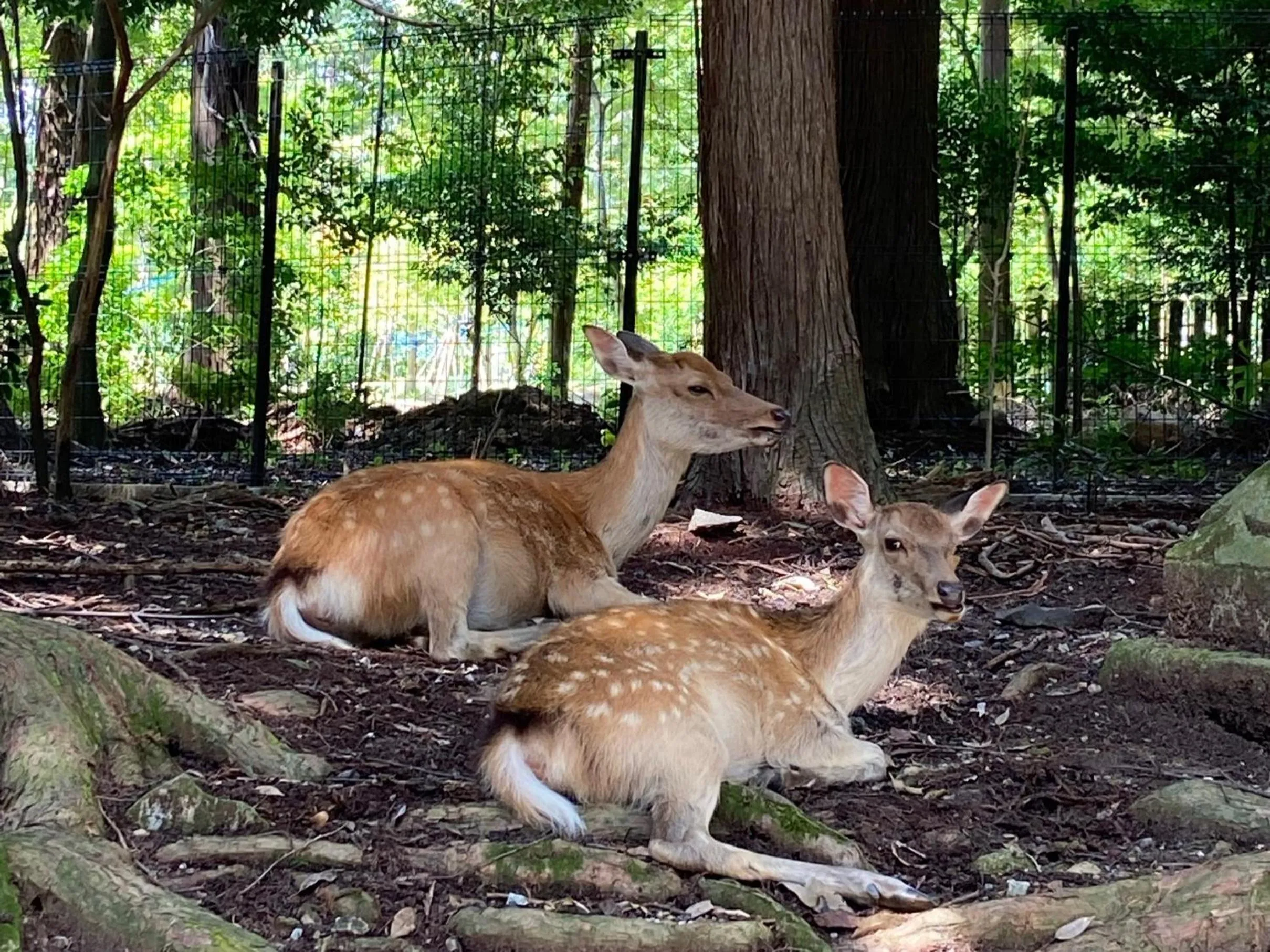 Nearby landmark in Vessel Inn Shinsaibashi
