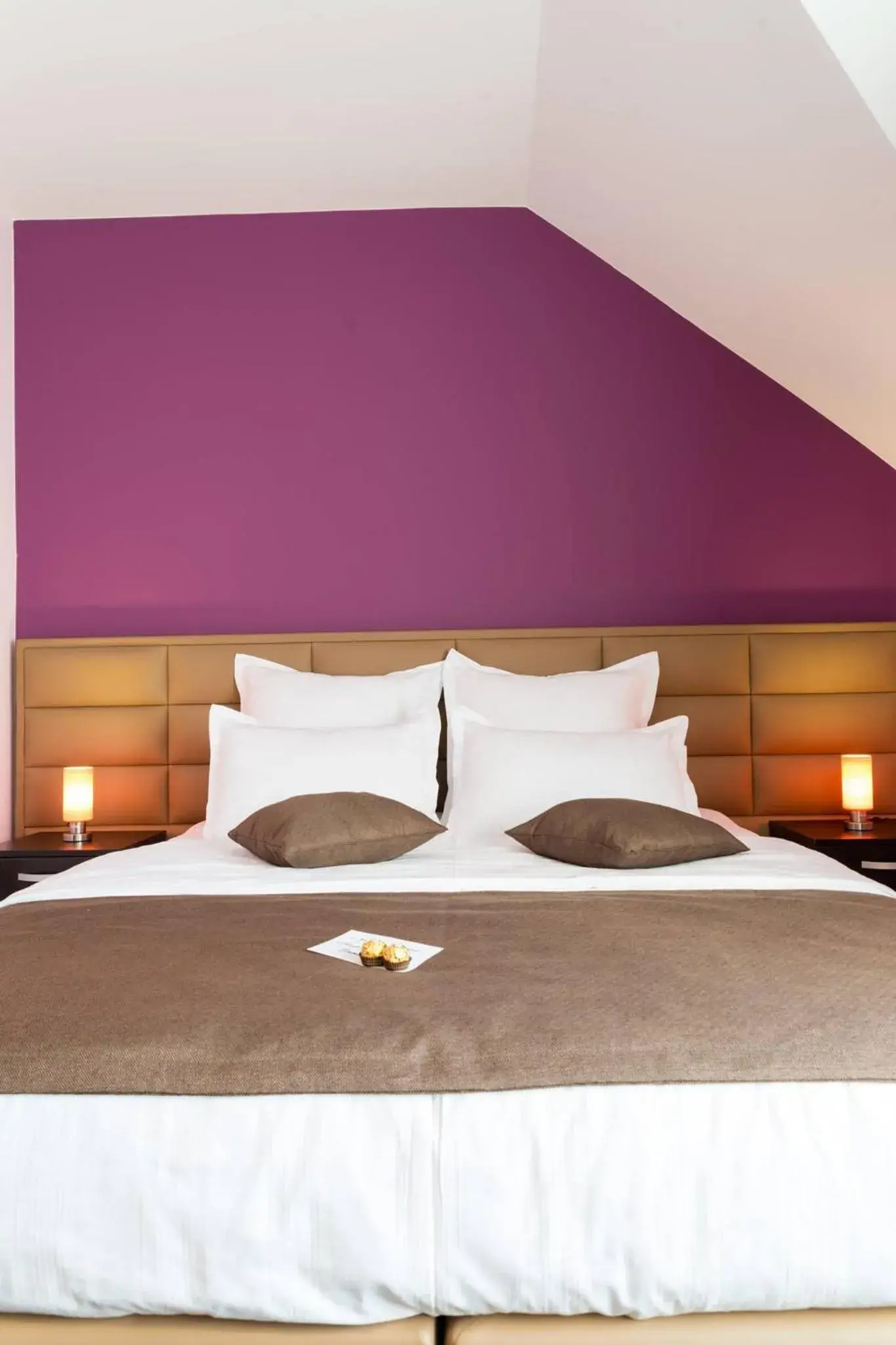 Double or Twin Room in Pridvorul Haiducilor Double or Twin Room in Pridvorul Haiducilor