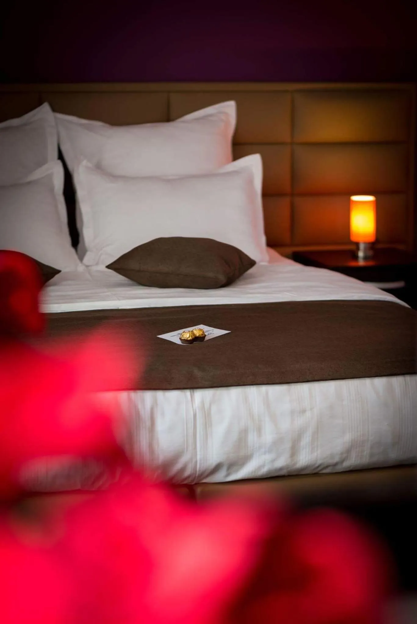 Bed in Pridvorul Haiducilor