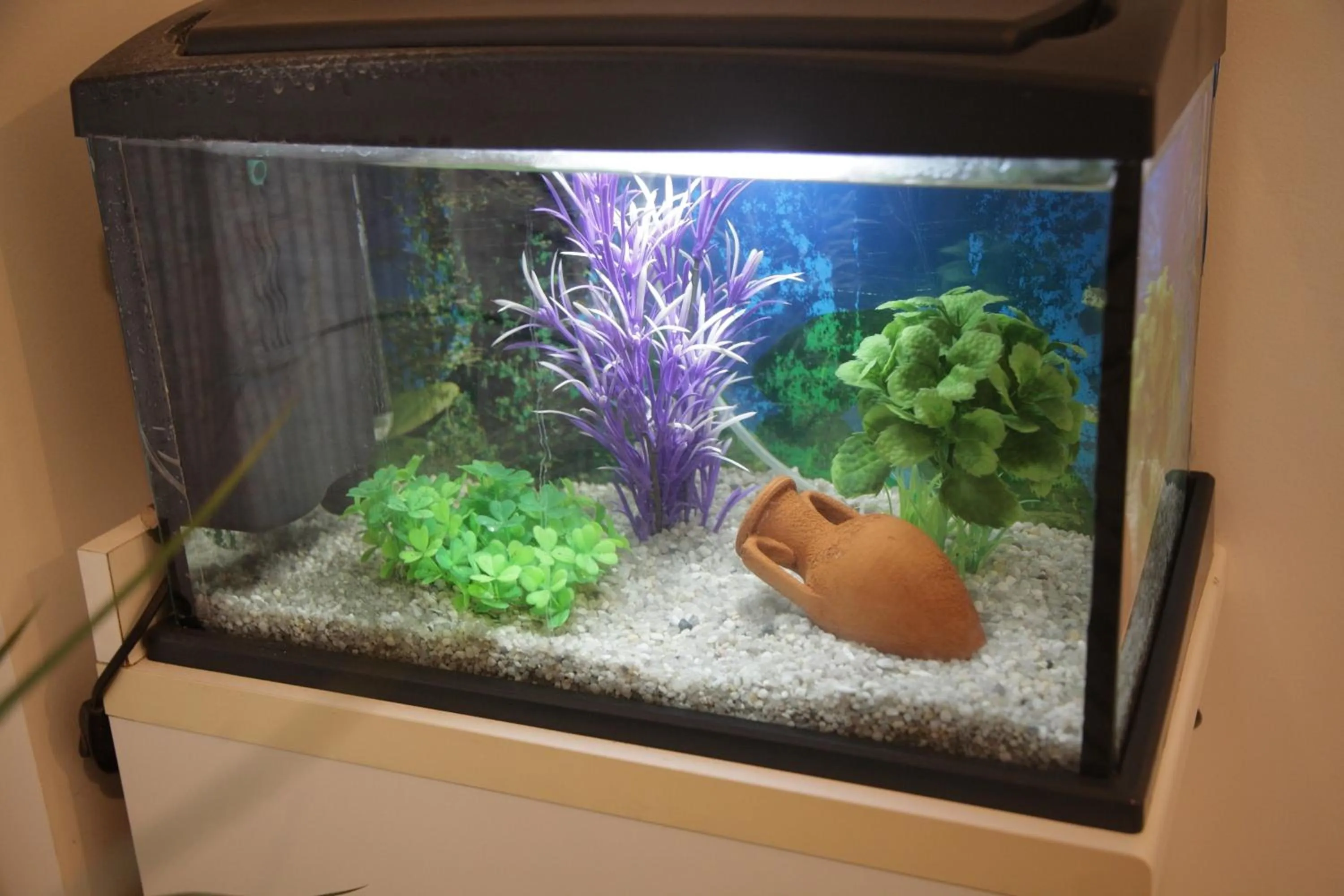 hair dresser in Etna Sea House