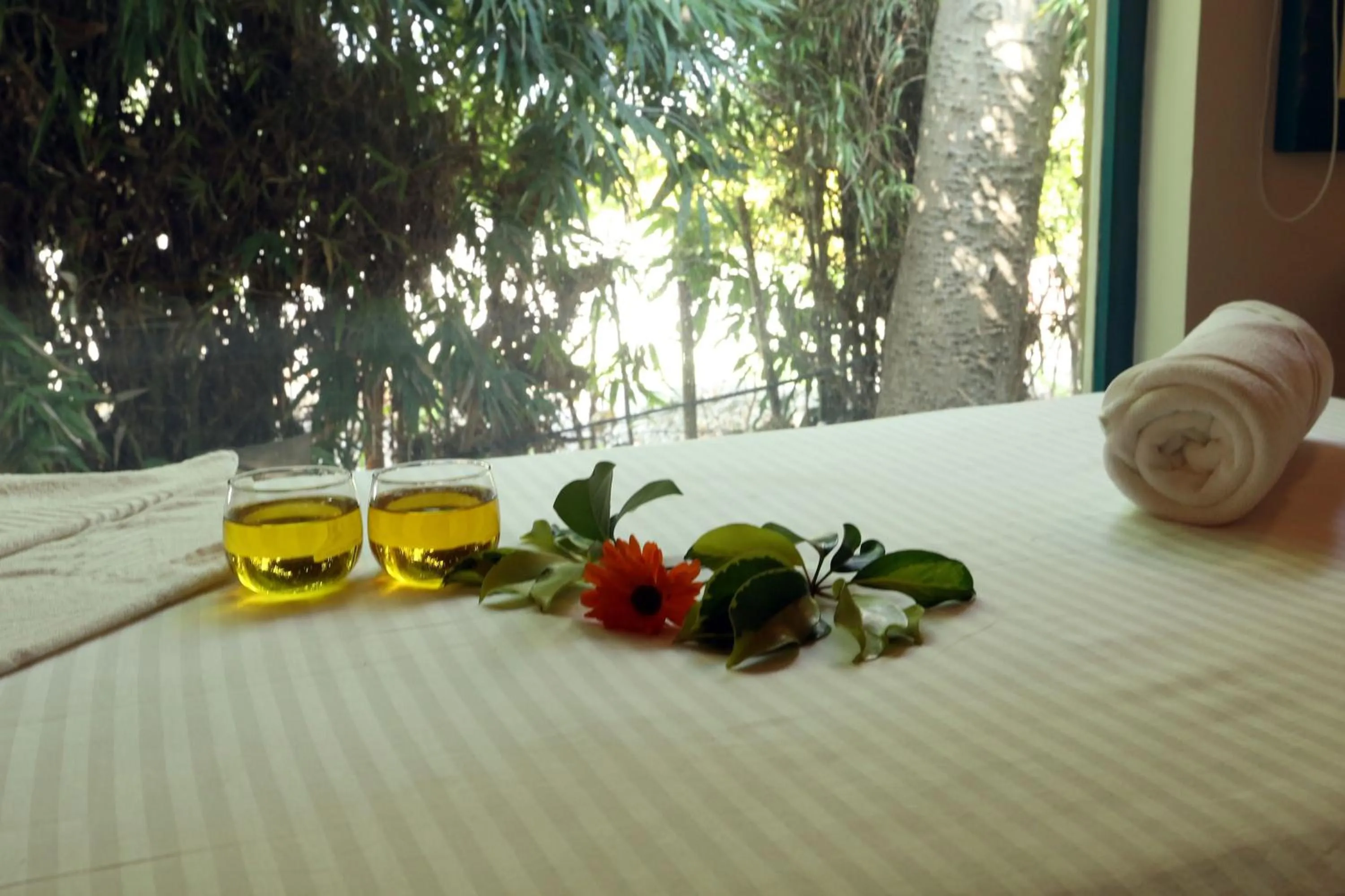 Massage in Aacorn Hideaway Resort & Spa