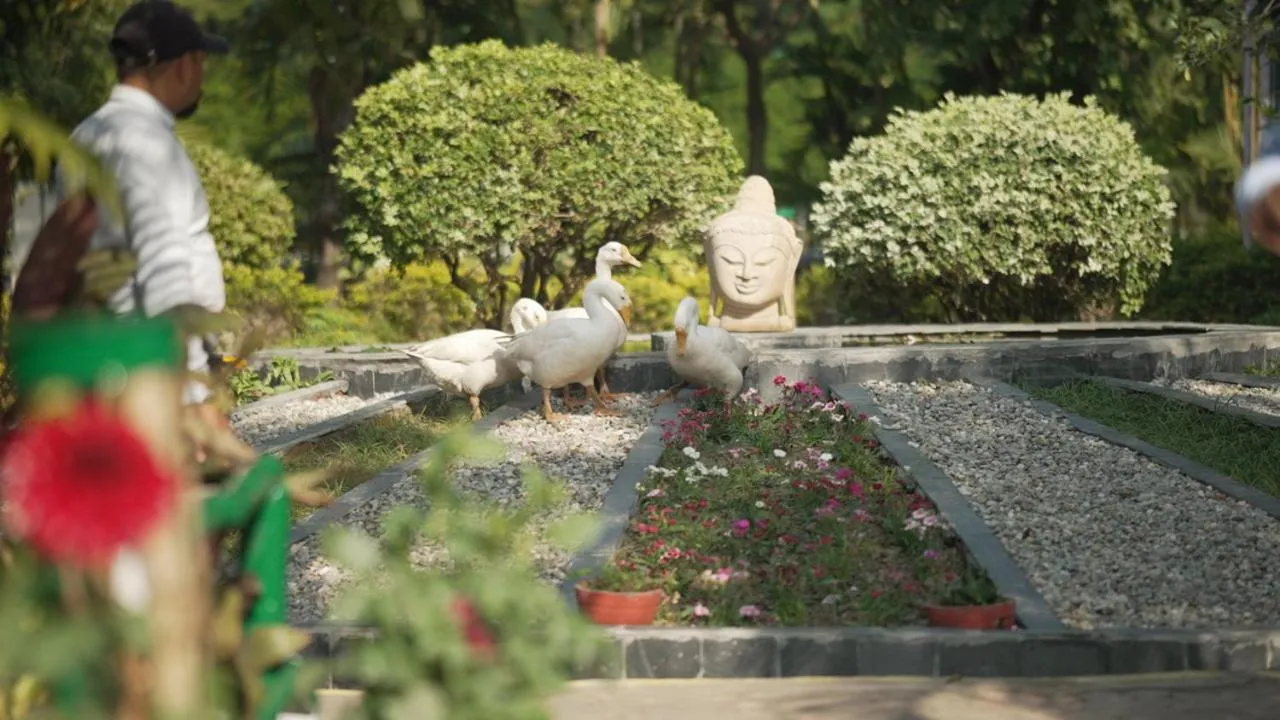 Garden in Aacorn Hideaway Resort & Spa