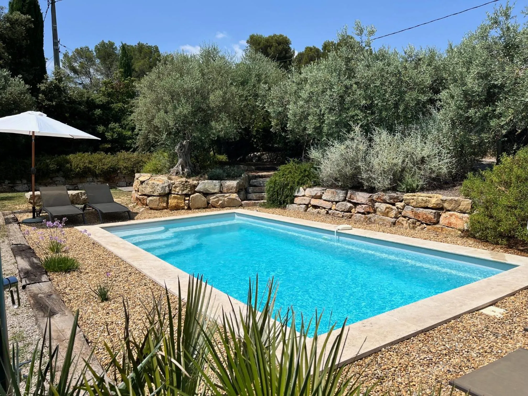 Garden in La Villa Aux Oliviers