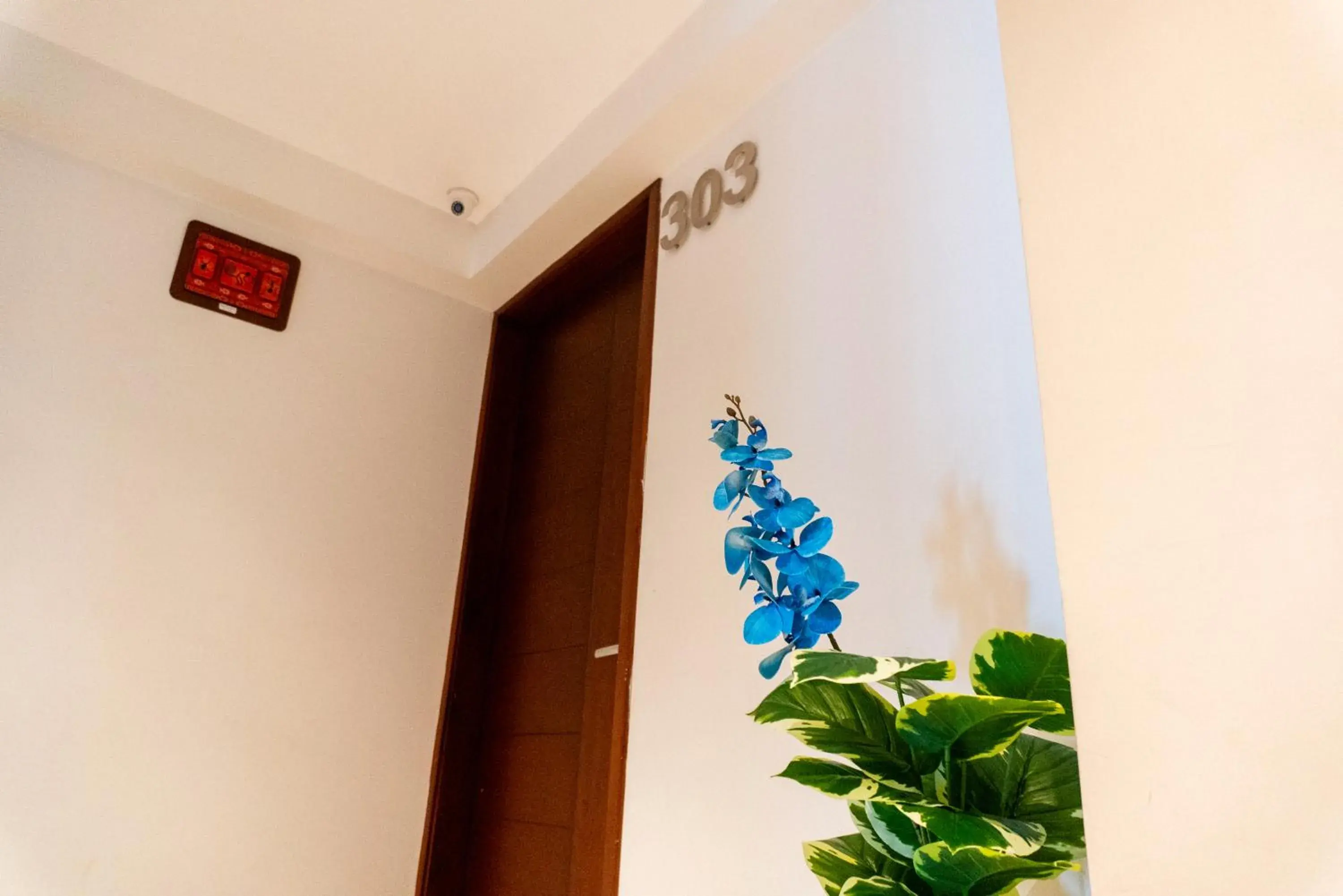 Executive Suite in Apart Hotel Petit Palace Suites Executive Suite in Apart Hotel Petit Palace Suites