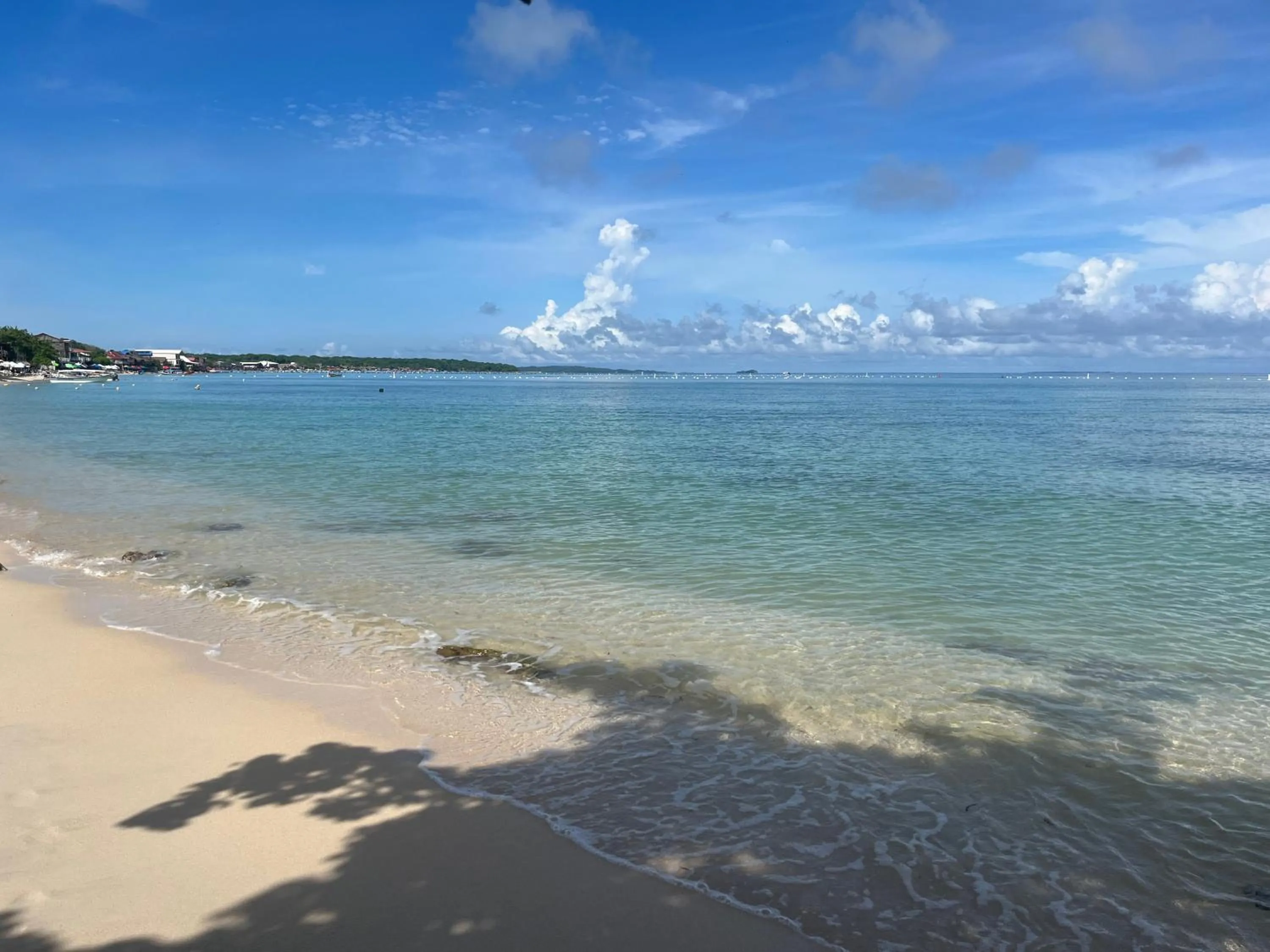 Beach in Pura Vida Baru - La Casa del Cholo