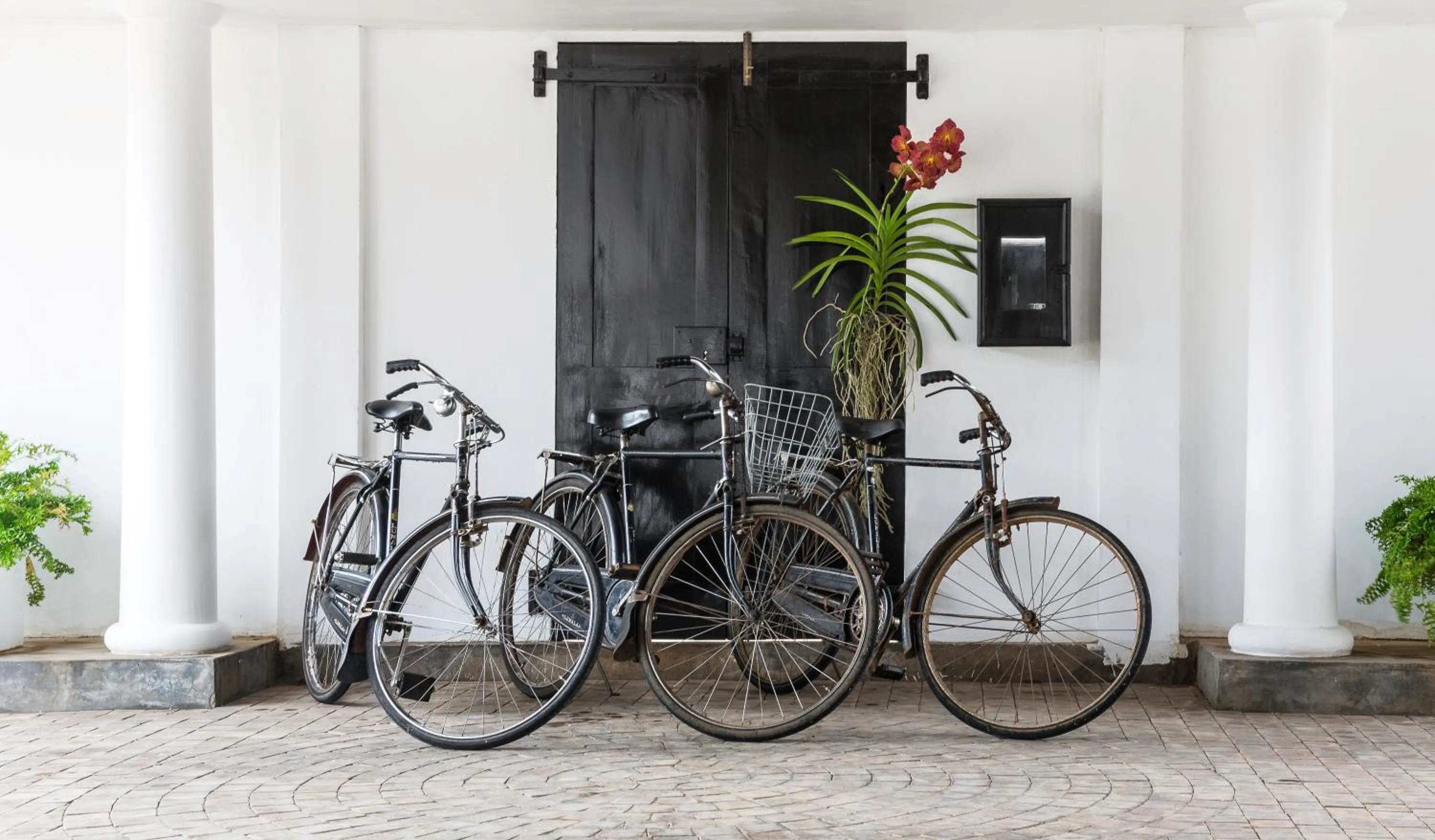 Cycling in Fox Jaffna