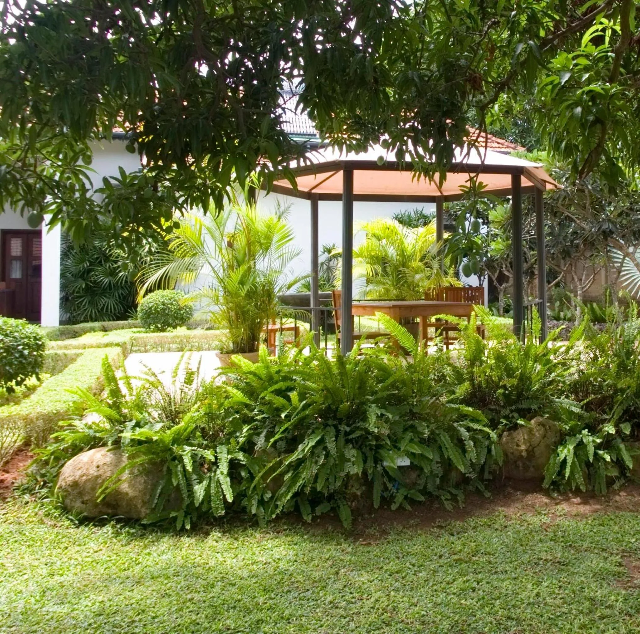 Garden in Fox Jaffna