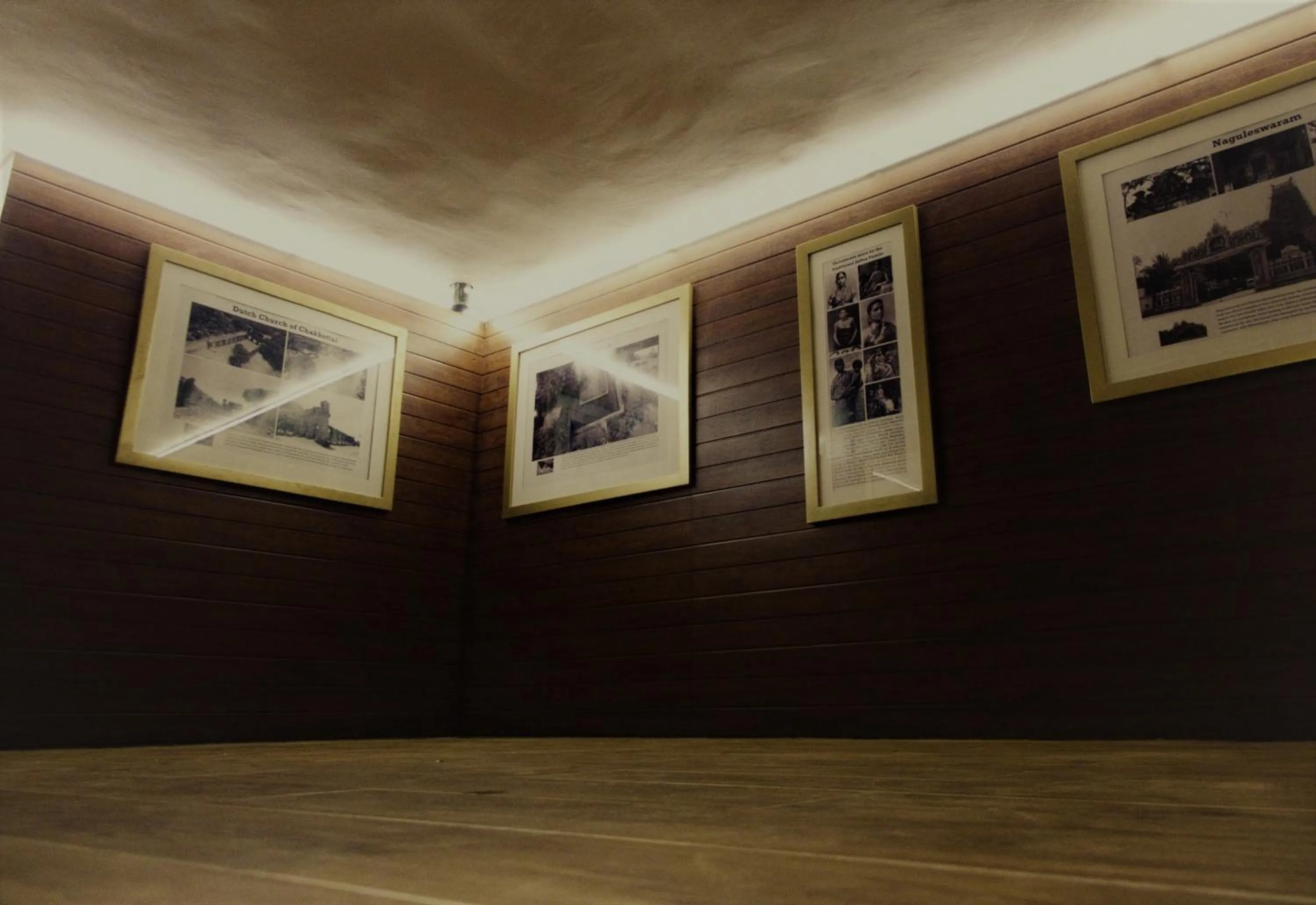 Activities in Fox Jaffna