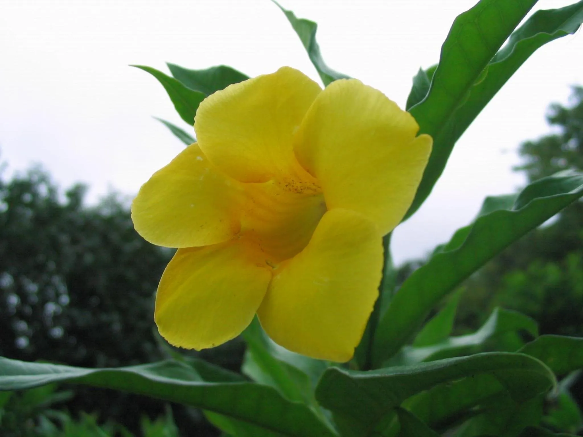 Off site in Ocean Front YAMAKAWA