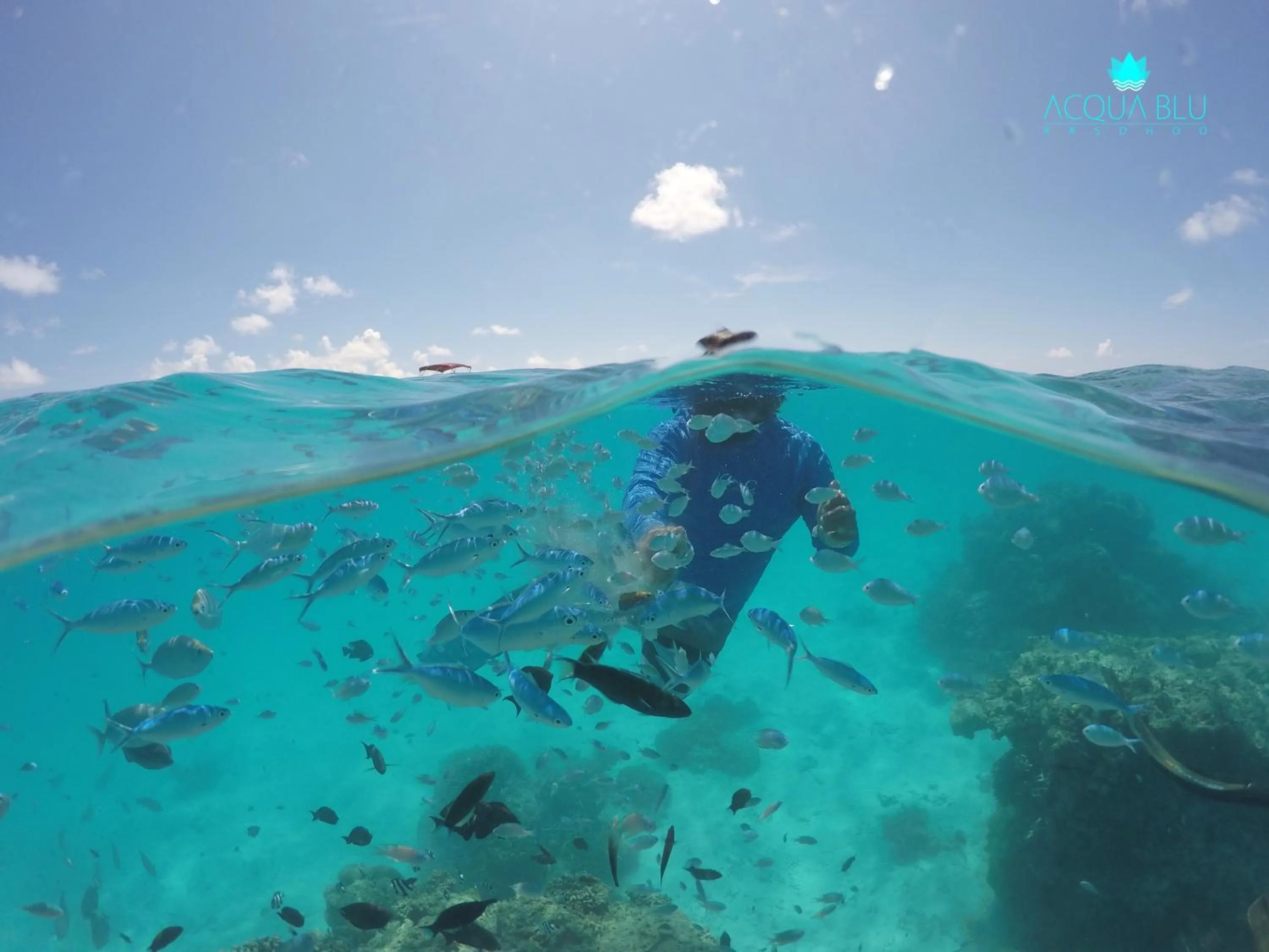 Snorkeling in Acqua Blu Rasdhoo