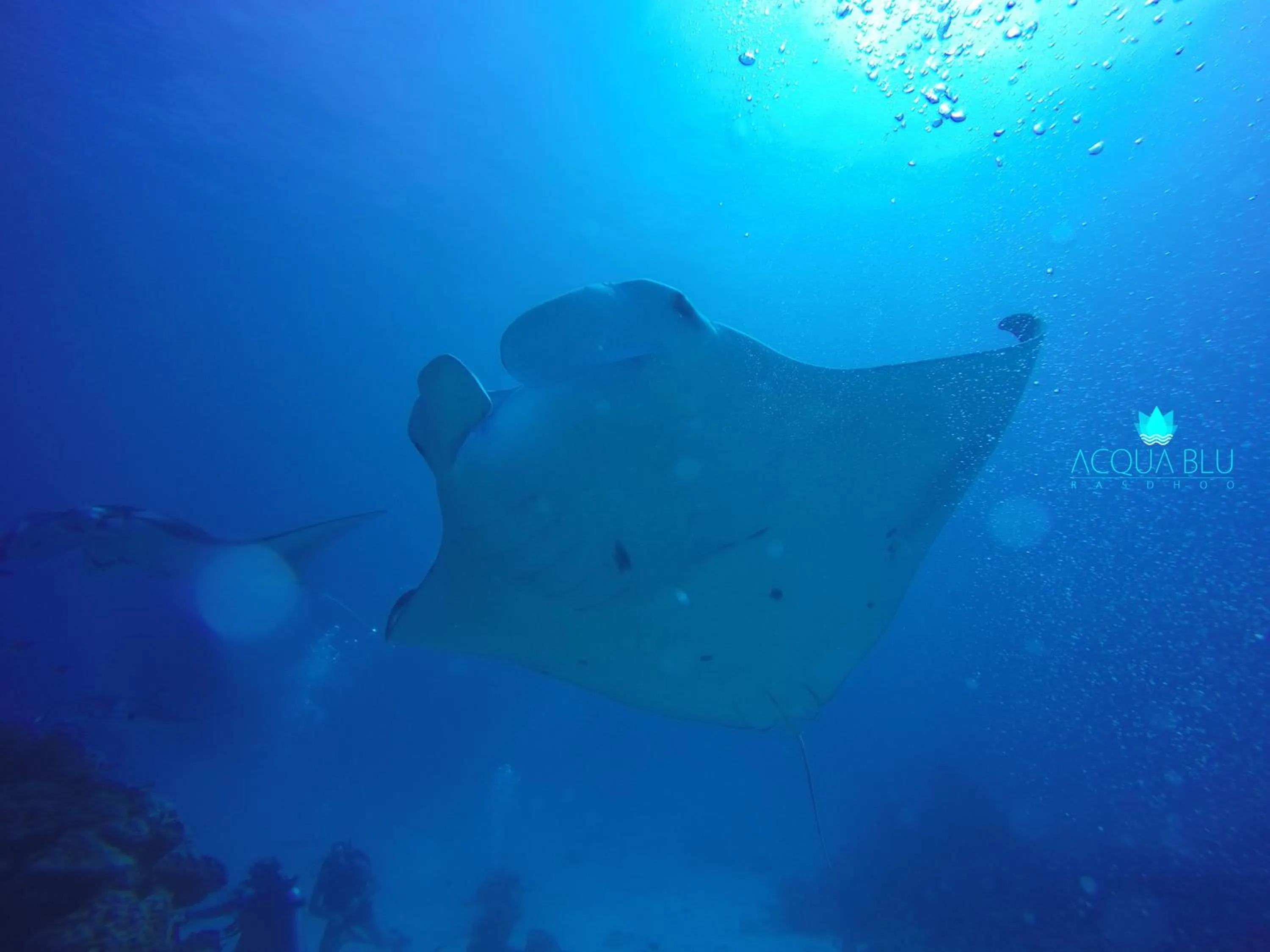 Fishing in Acqua Blu Rasdhoo
