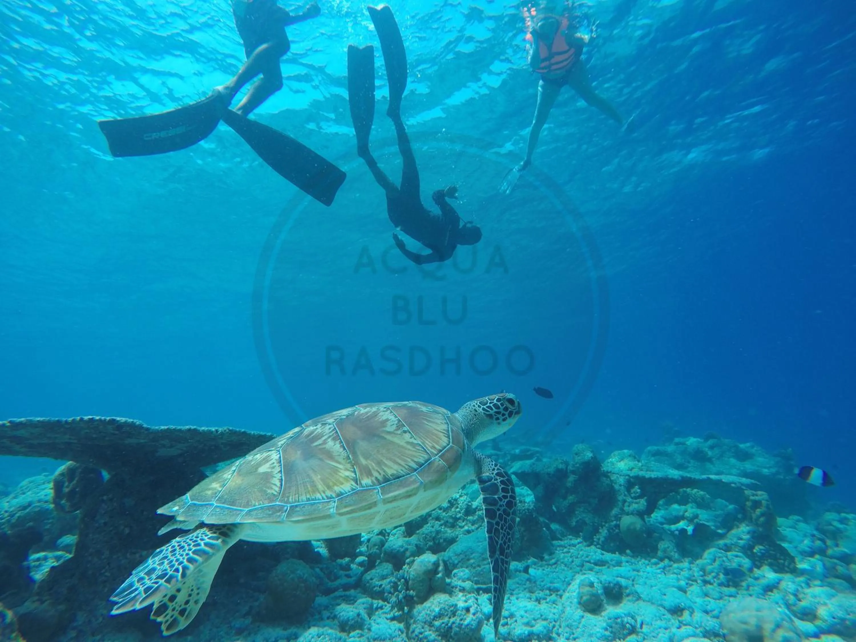 View (from property/room) in Acqua Blu Rasdhoo