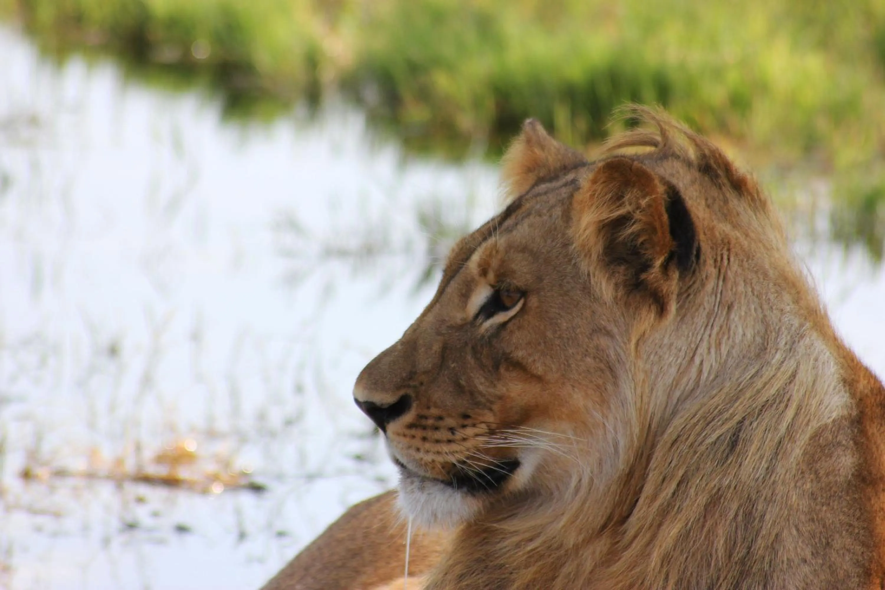 Activities in Gwango Heritage Resort