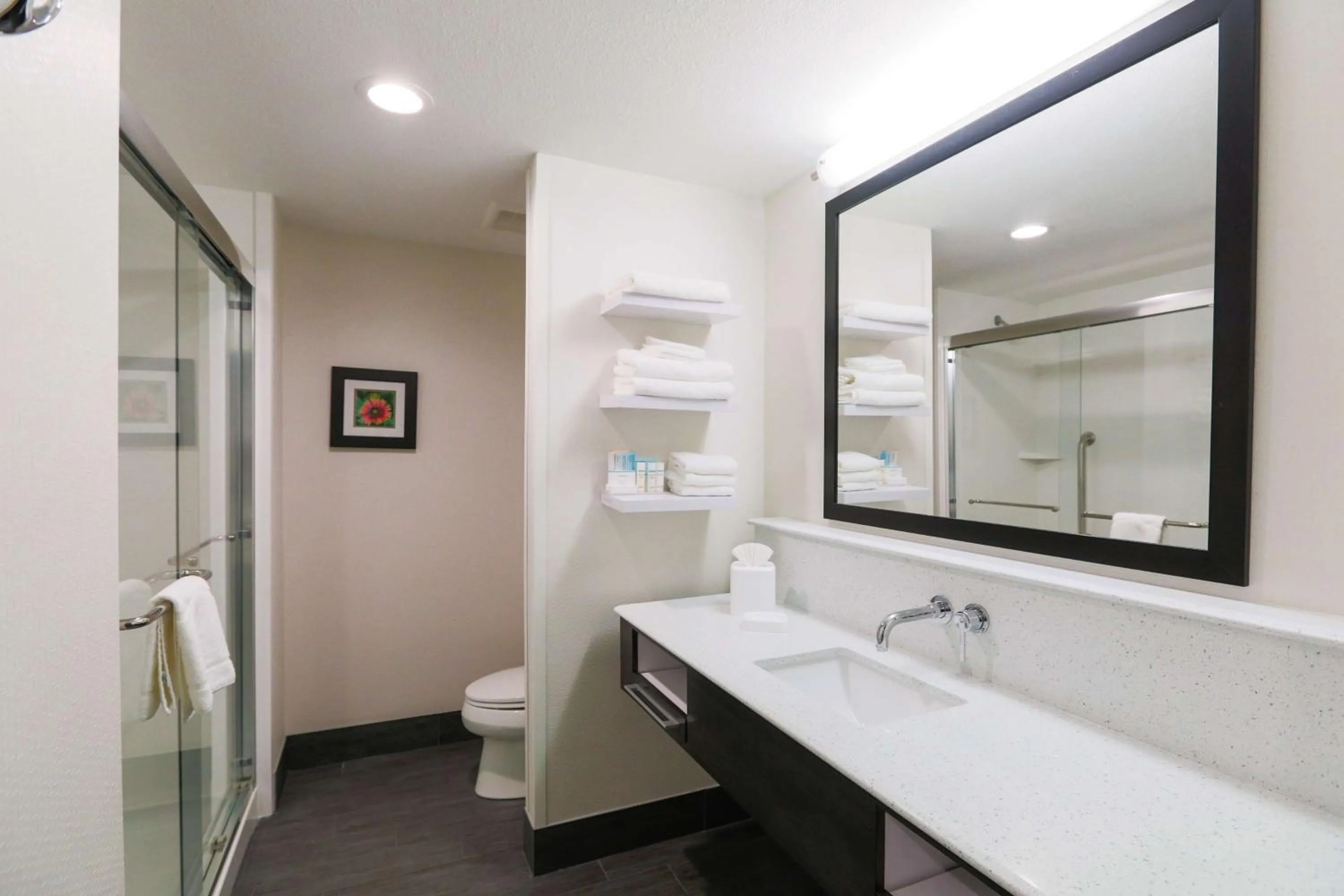 Bathroom in Hampton Inn El Reno Ok