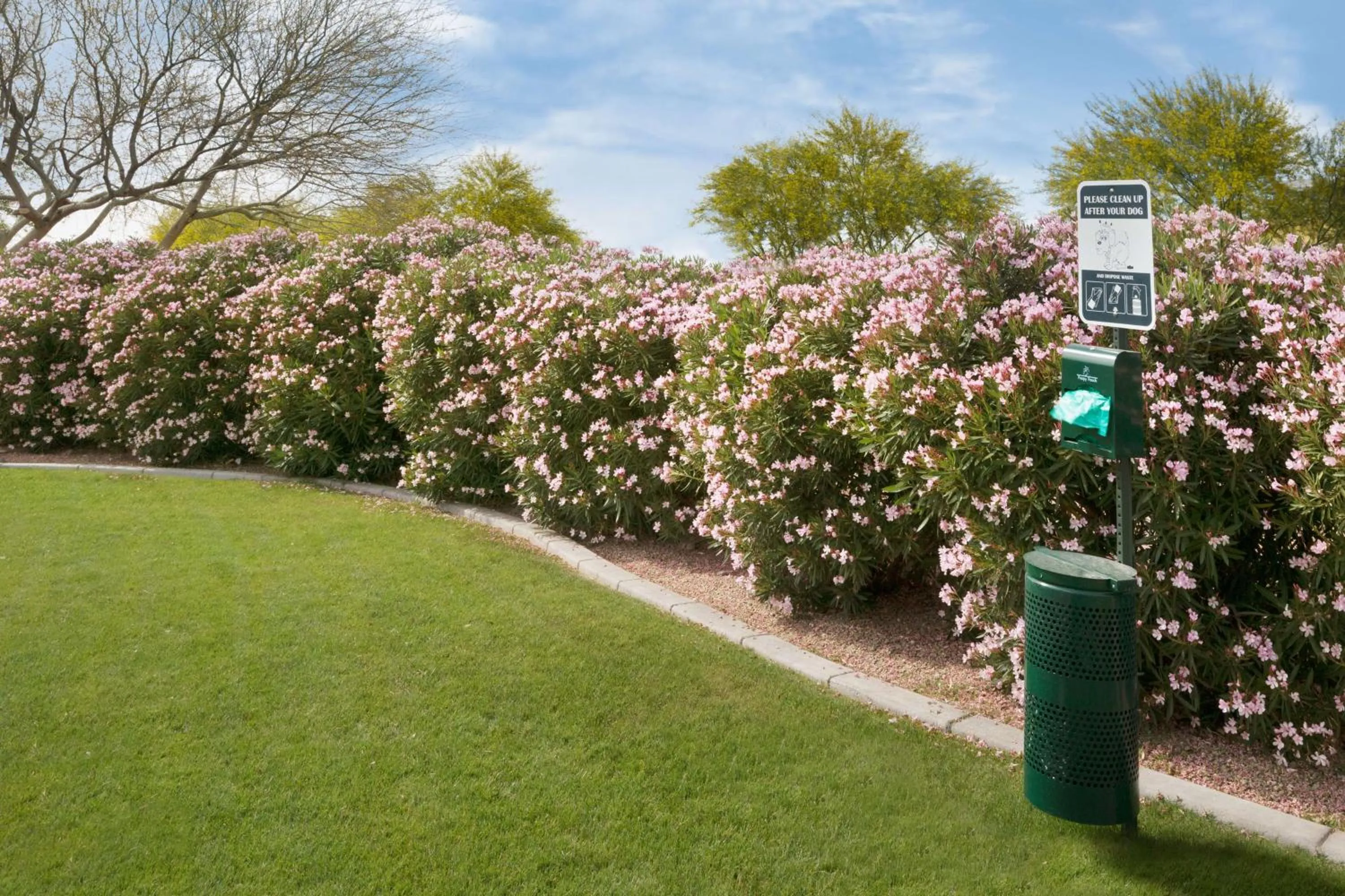 Sports in Home2 Suites By Hilton Glendale Westgate