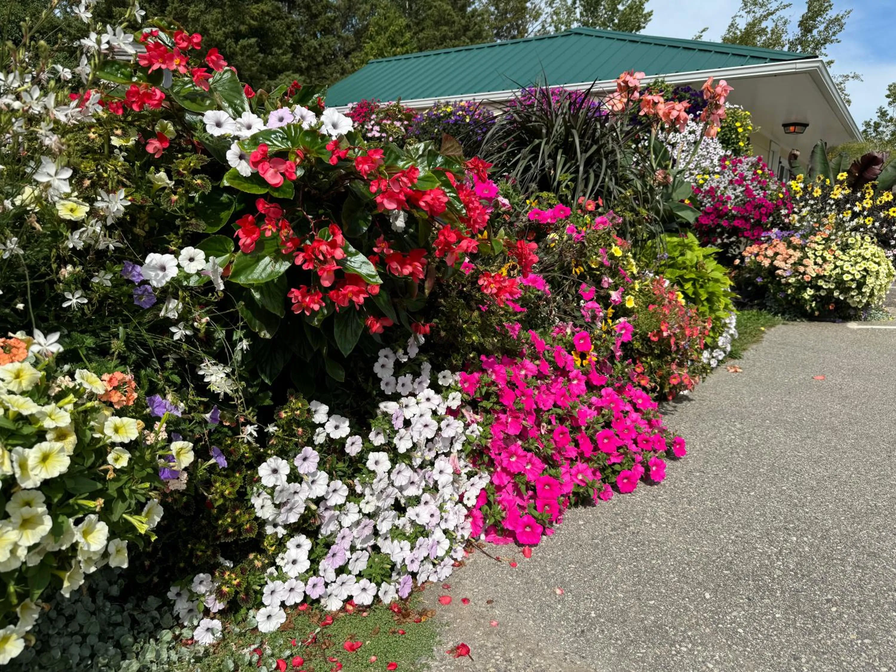 Sunset Motel at Armand's Gardens