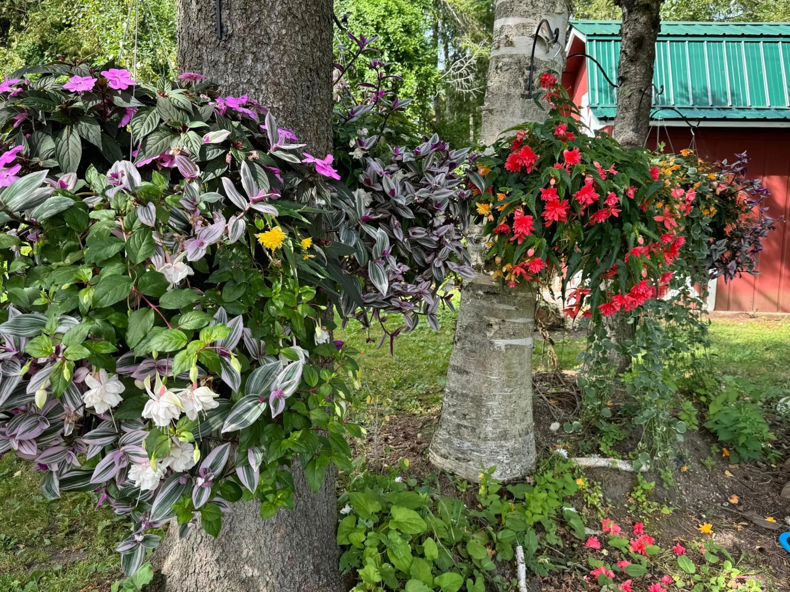 Sunset Motel at Armand's Gardens