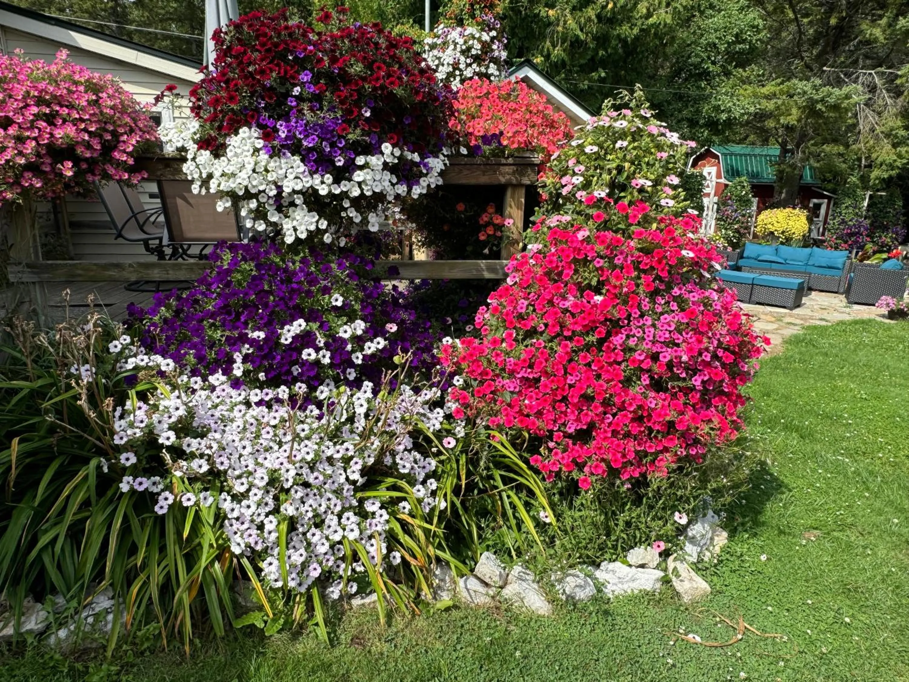 Sunset Motel at Armand's Gardens