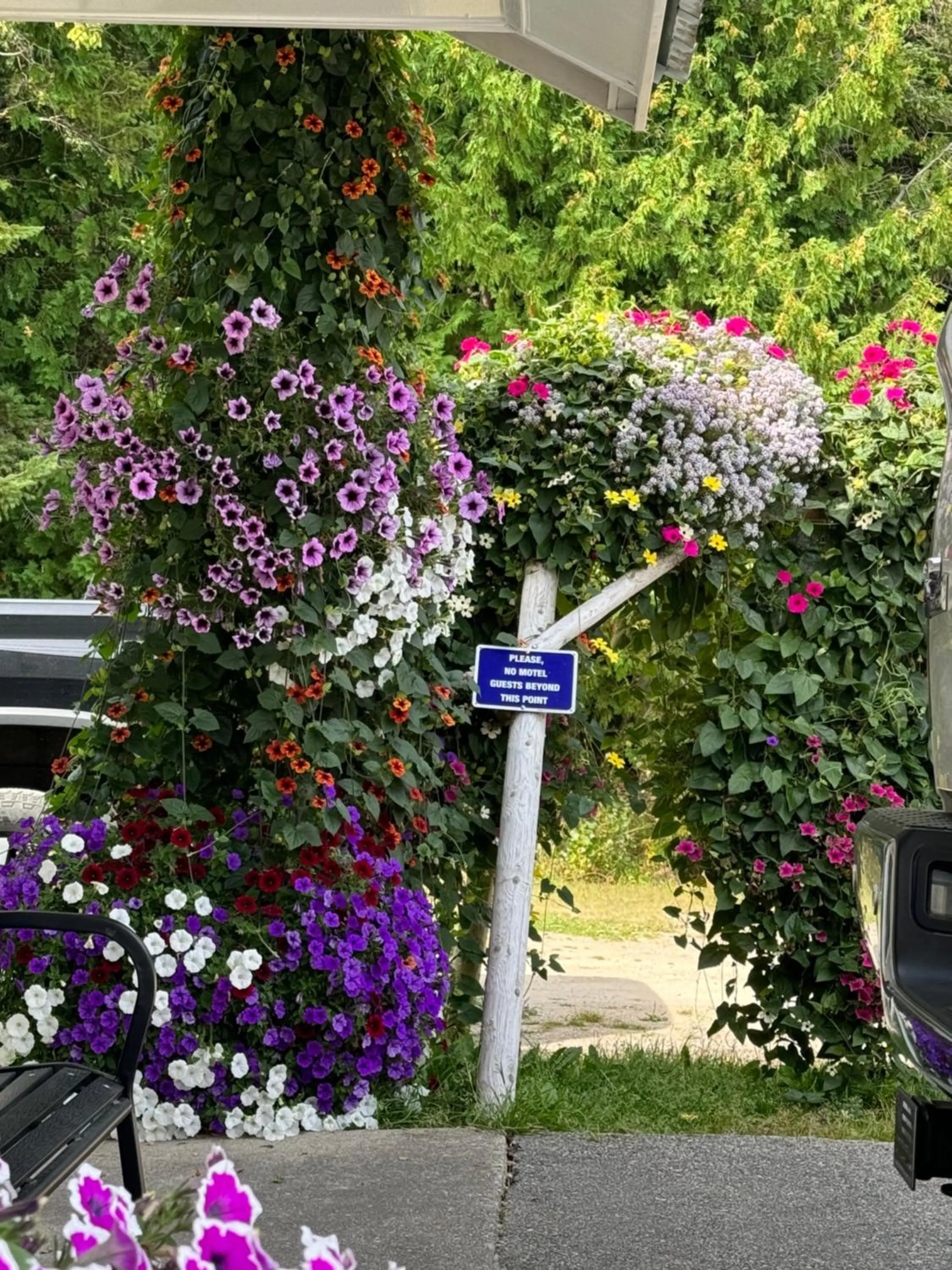 Sunset Motel at Armand's Gardens