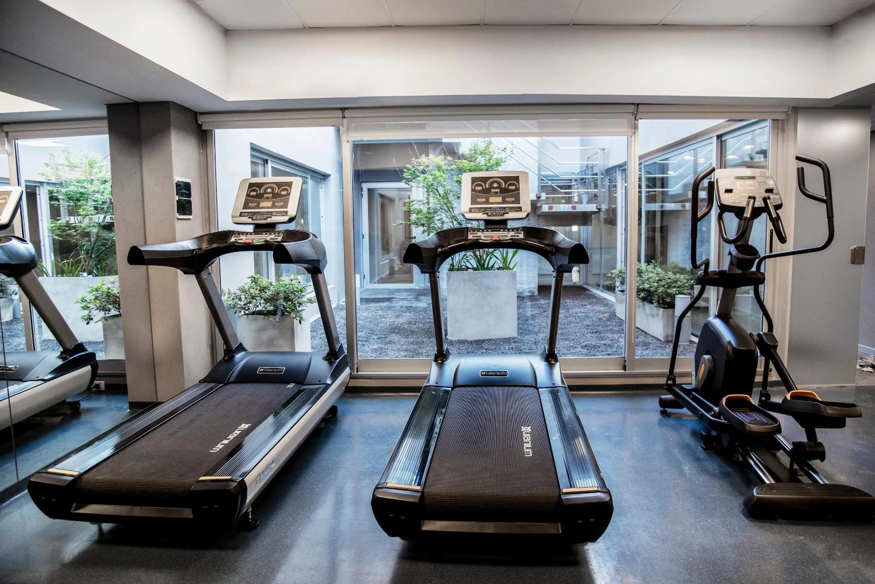 Activities in Top Rentals Downtown