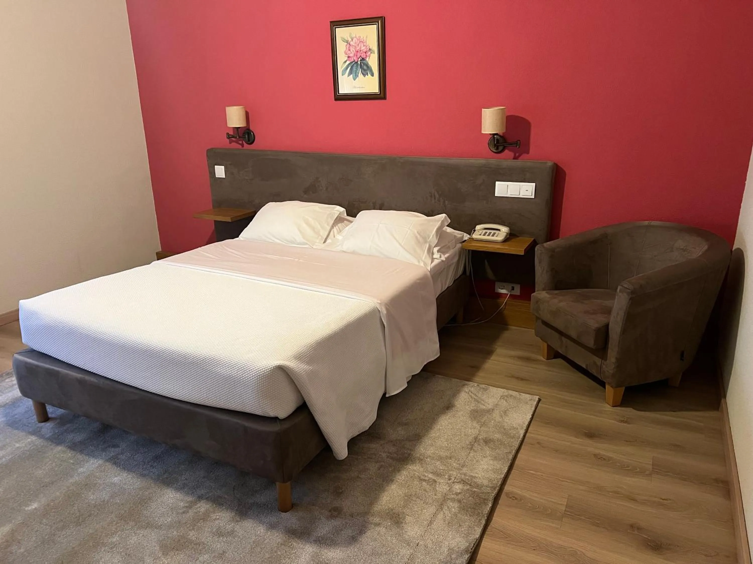 Standard Double Room - single occupancy in Hotel Ribadouro