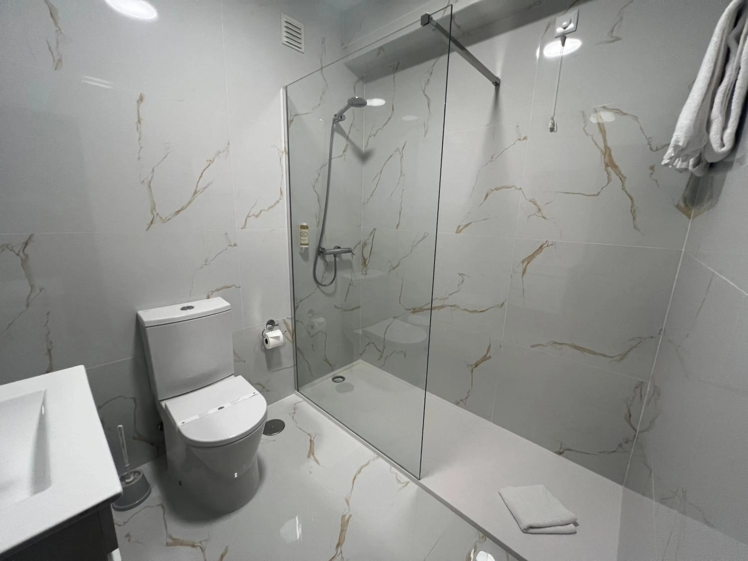 Shower in Hotel Ribadouro