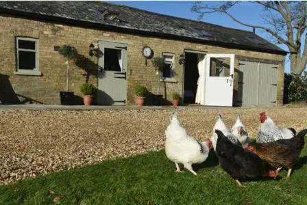 Animals in Bridleway Bed & Breakfast