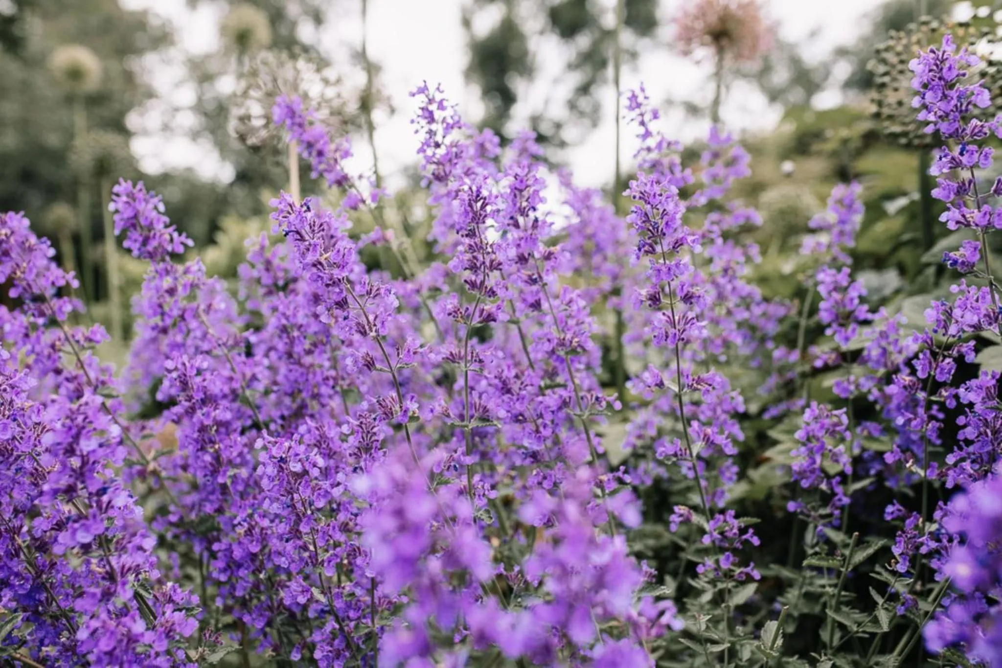 Property building in Bay Tree Cottage