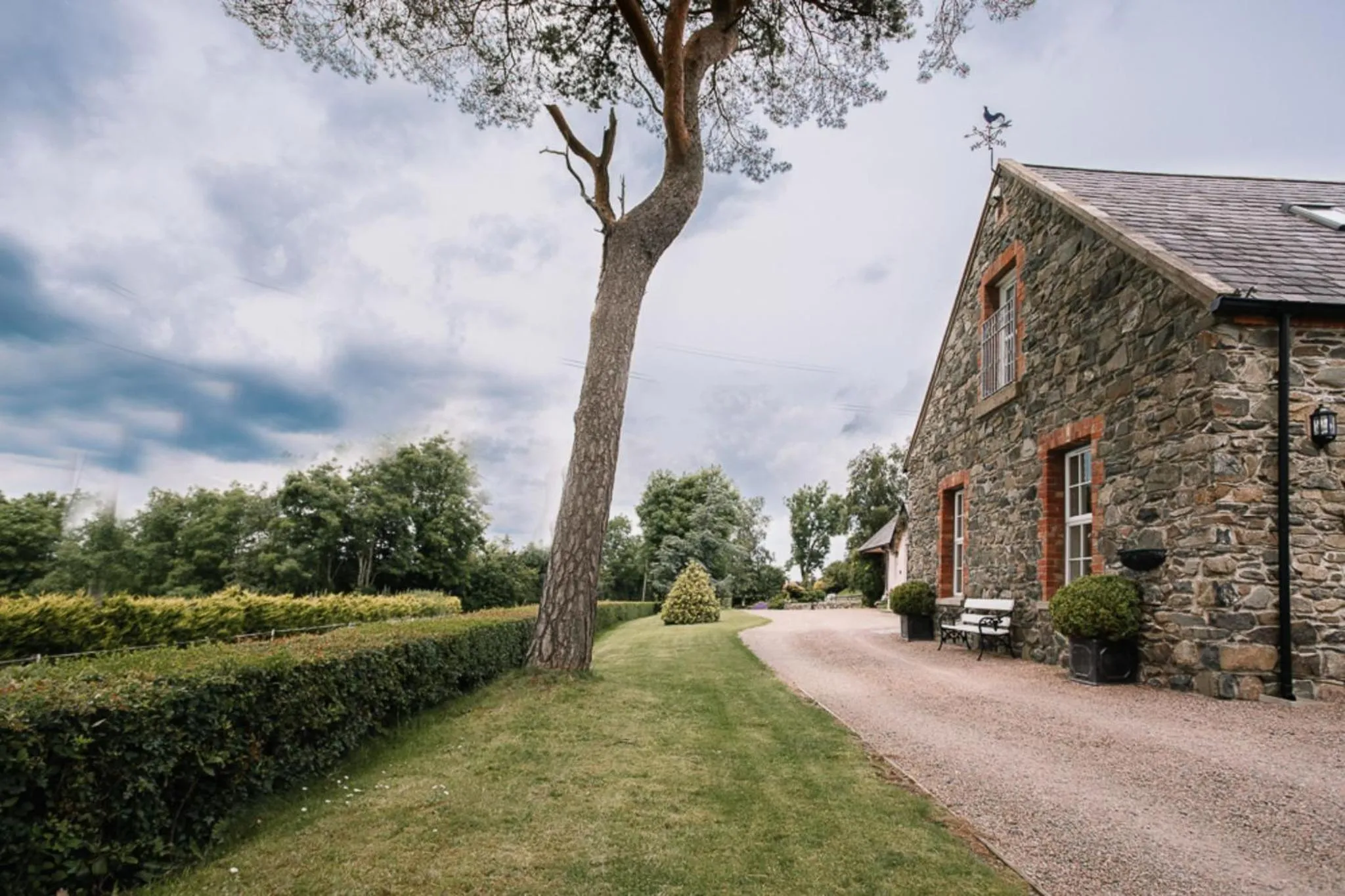 Garden in Bay Tree Cottage