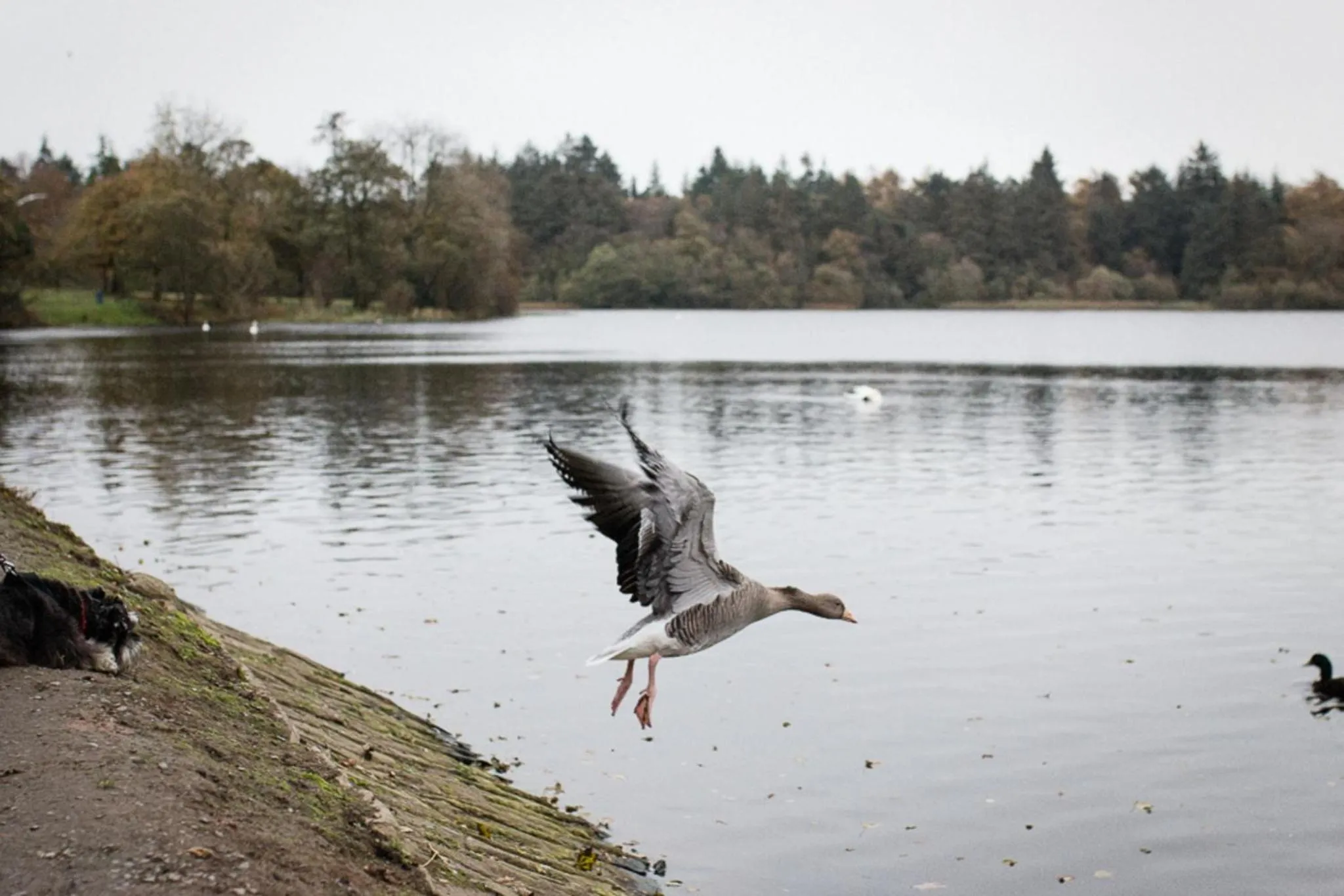 Property building in Bay Tree Cottage