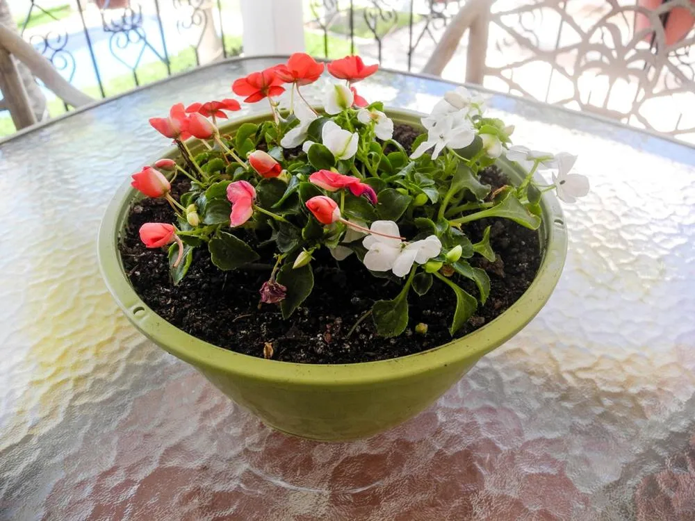 La Posada Del Tepeyac