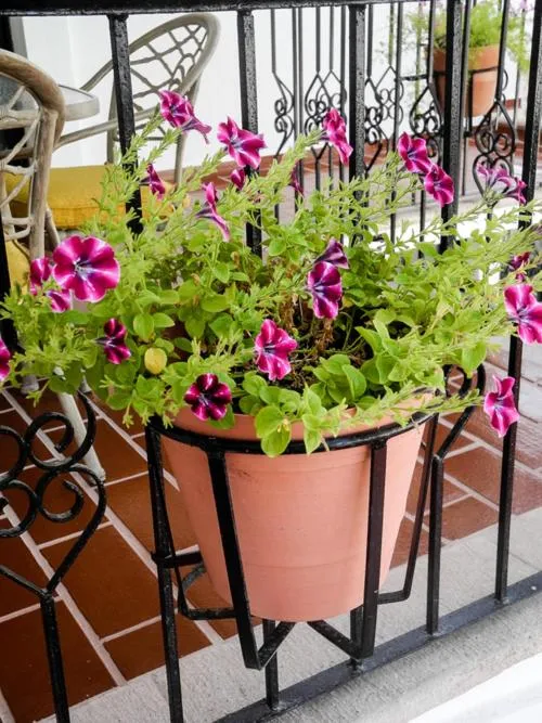 La Posada Del Tepeyac