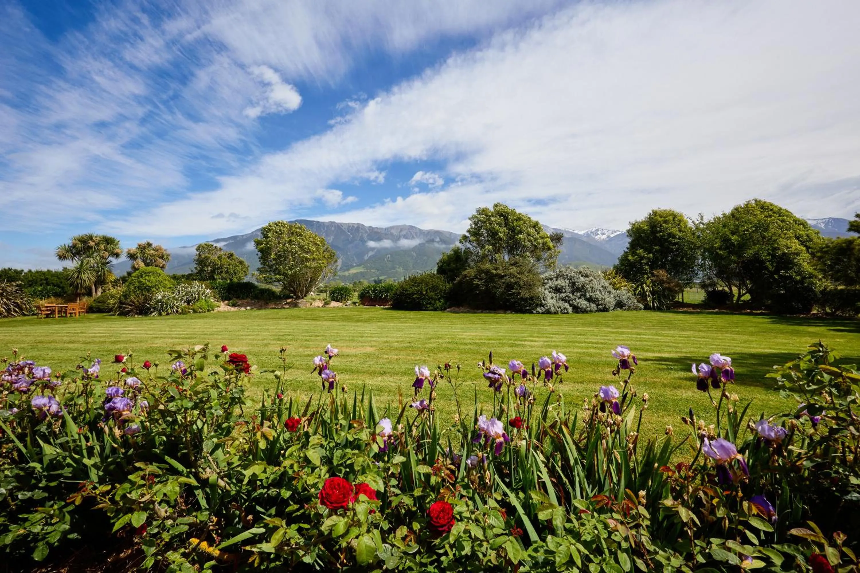 Natural landscape in Awatea Country Bed & Breakfast