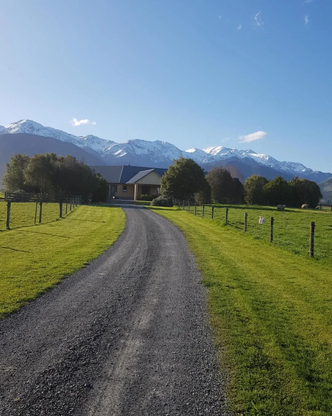 Facade/entrance in Awatea Country Bed & Breakfast