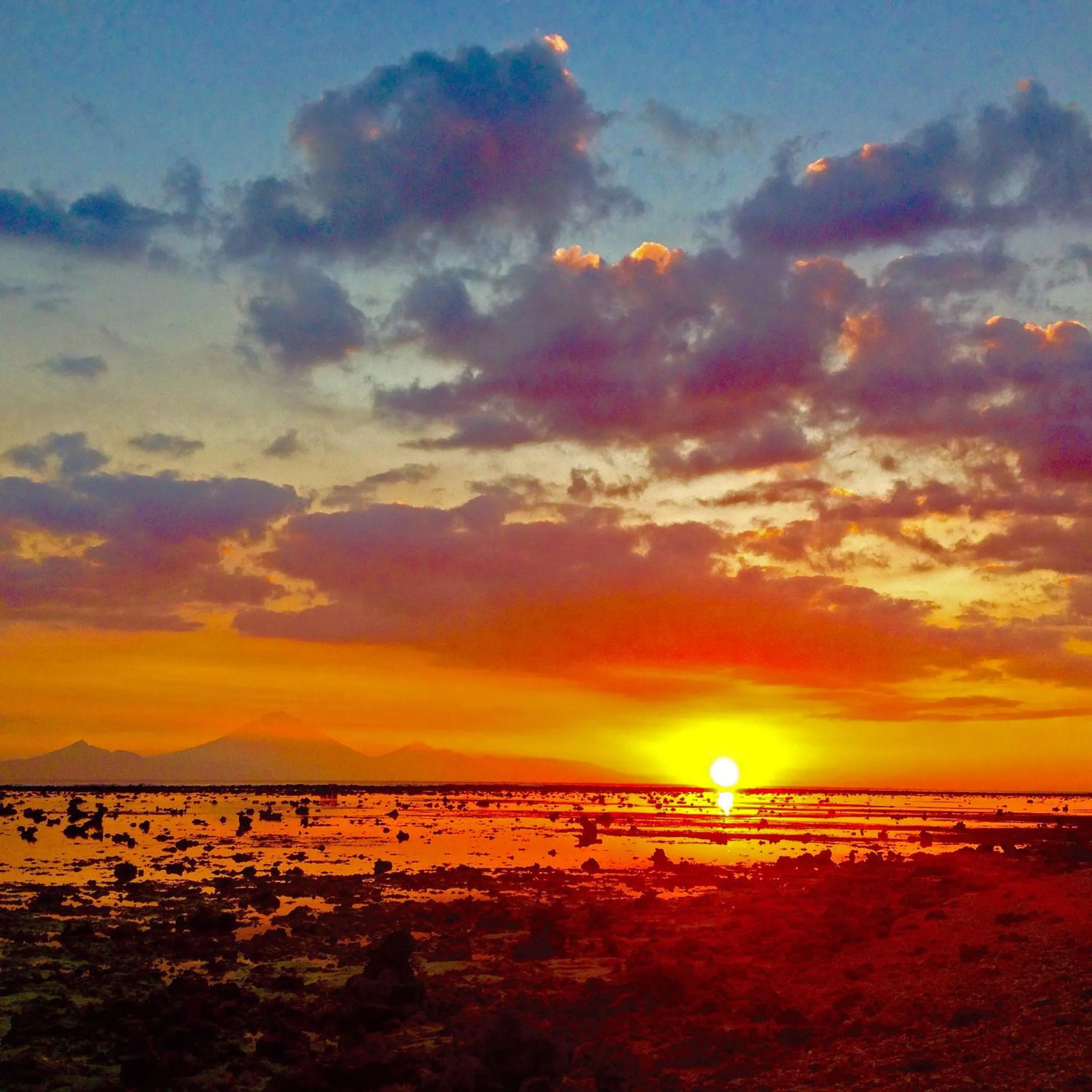 Off site in Utara Villas