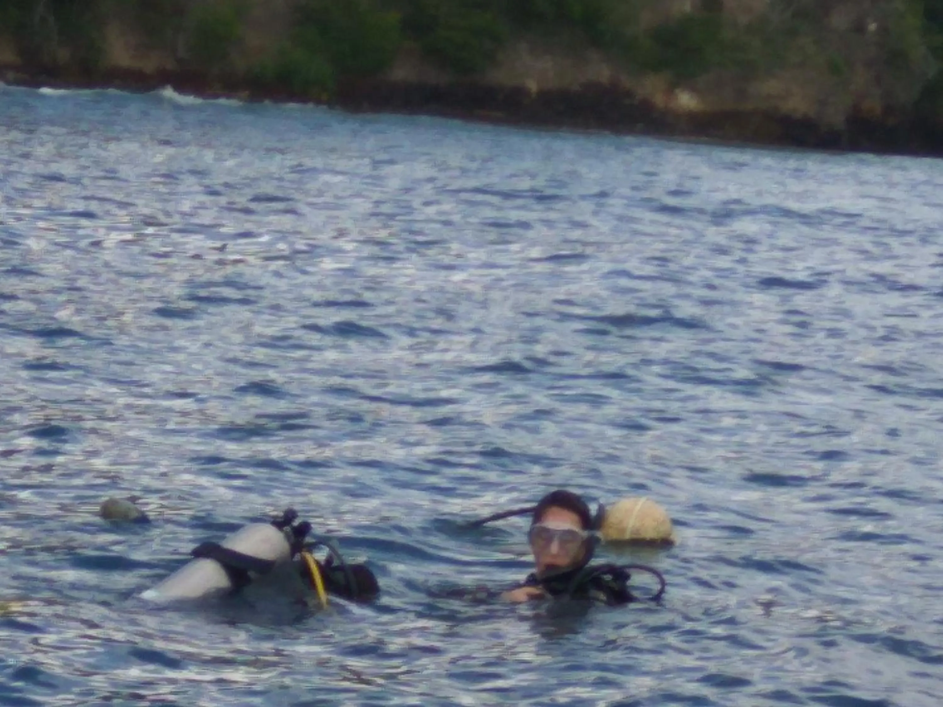 Diving in Manggis Garden Dive Resort