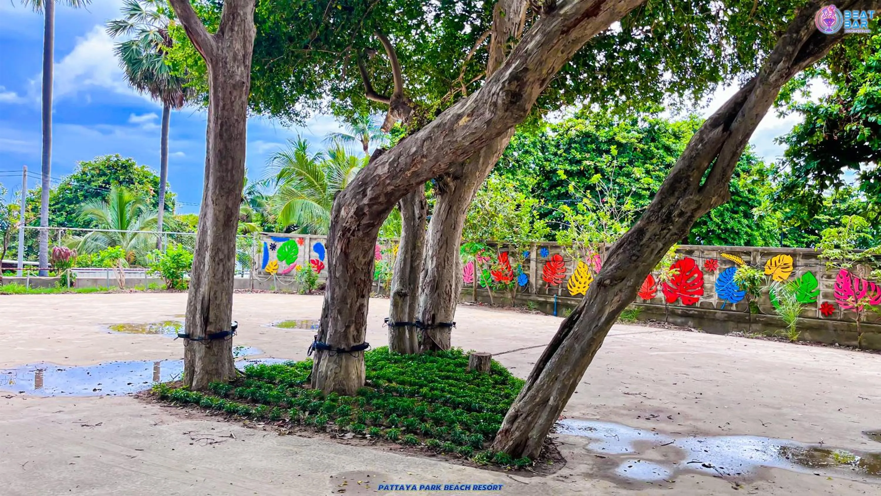 Area and facilities in Pattaya Park Beach Resort