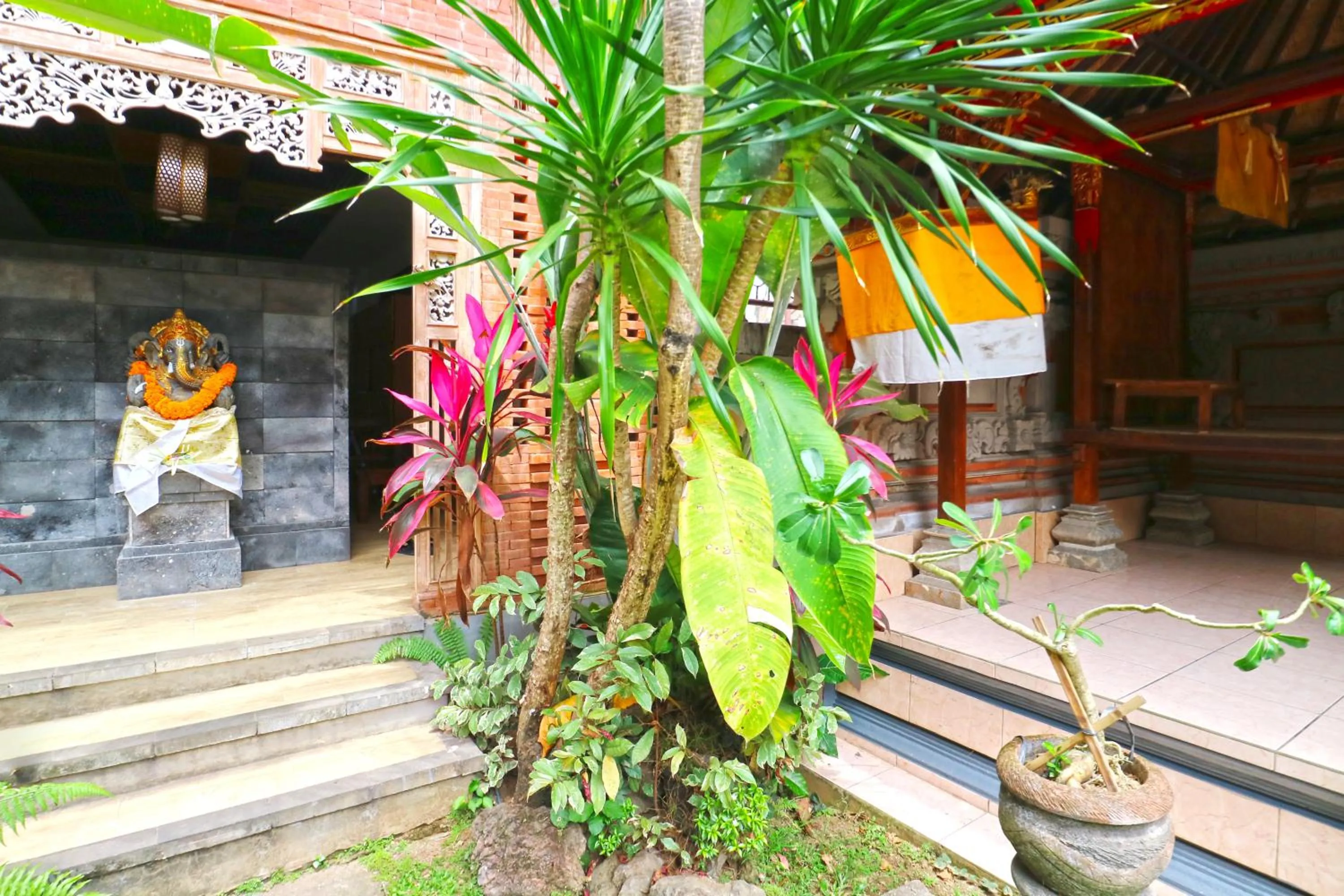 Natural landscape in New Ubud Hostel