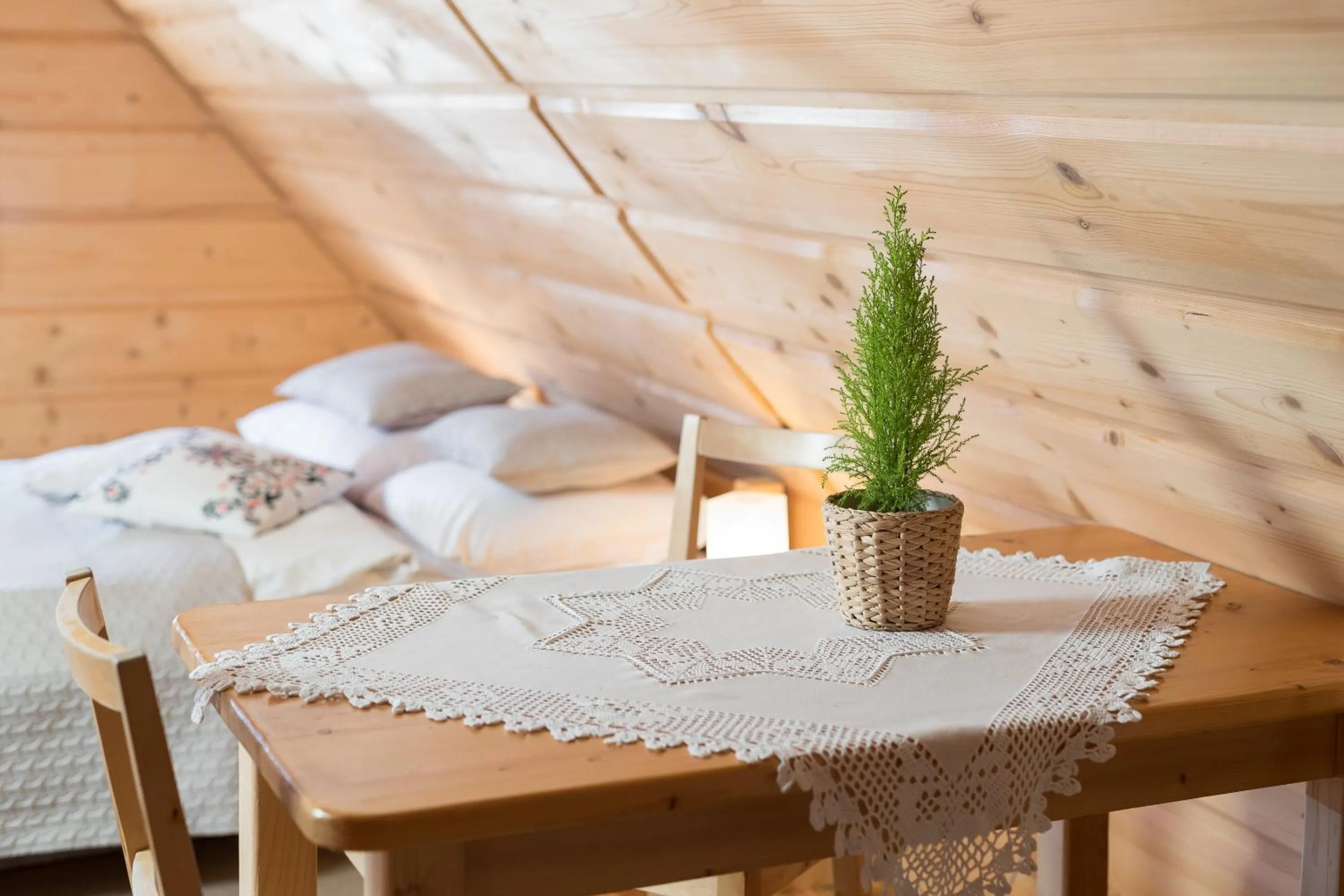 Bed in Willa Jedlicka