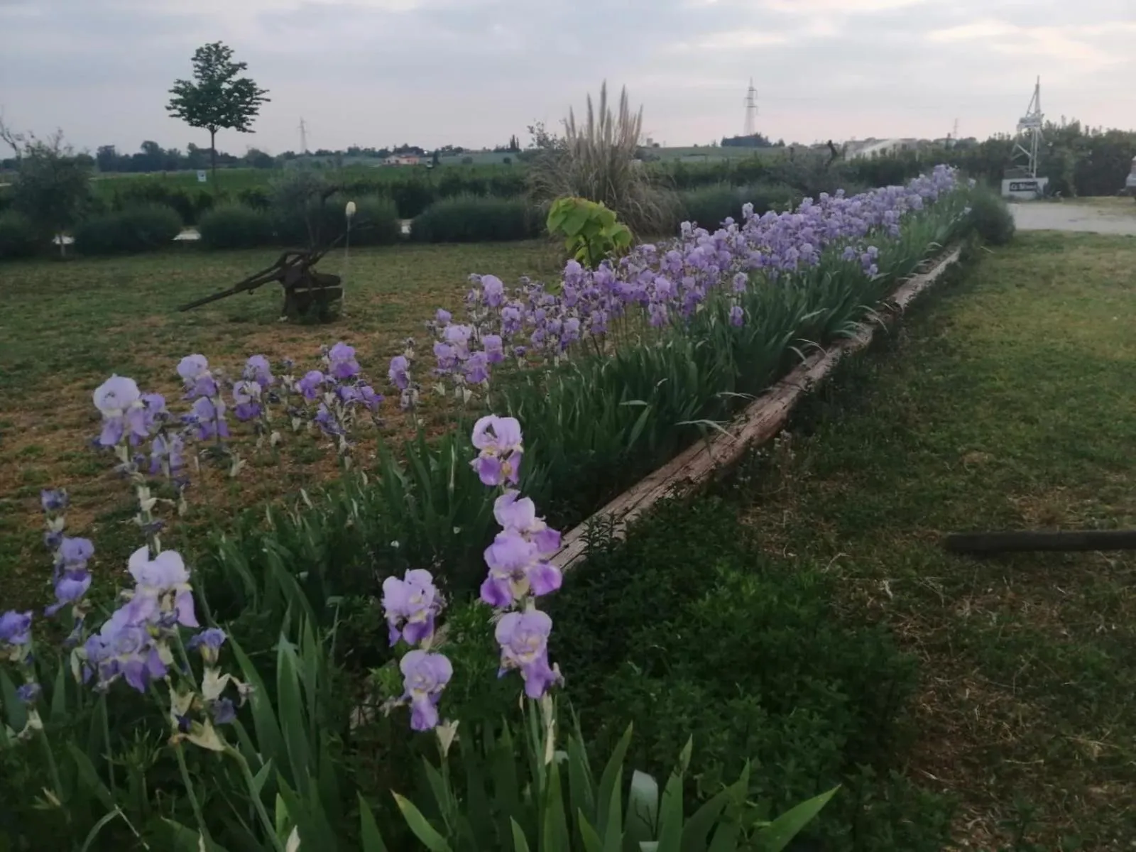 Spring in Ca' Blanca