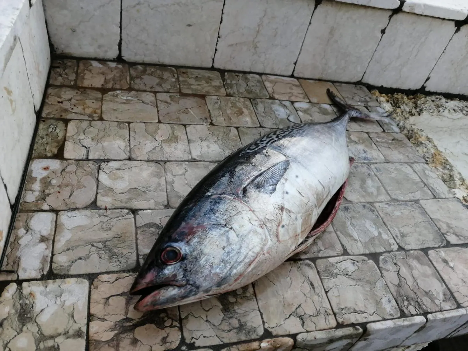 Dinner in Ca' Blanca