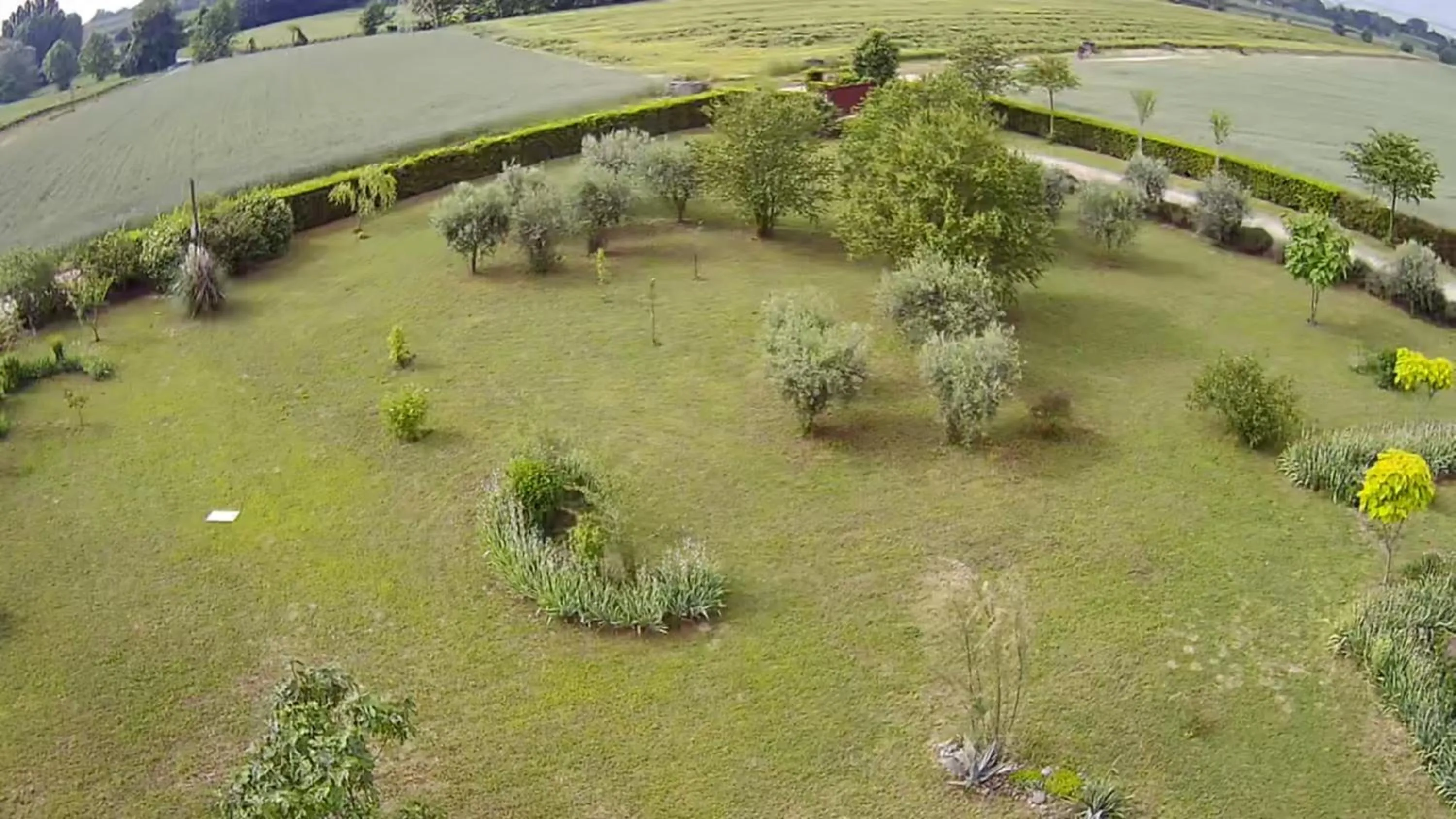 Garden in Ca' Blanca