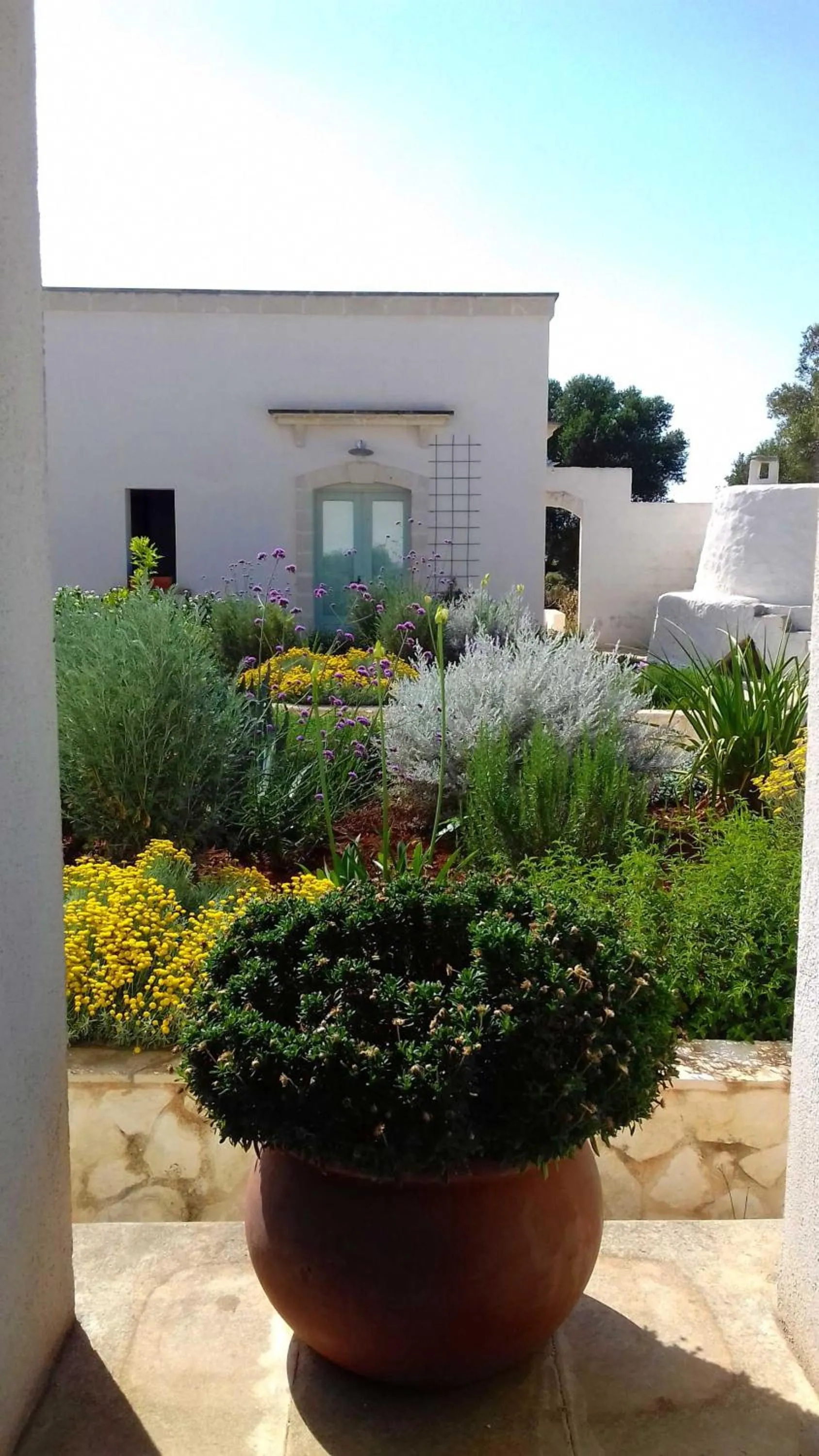 Inner courtyard view in The Proud Garden