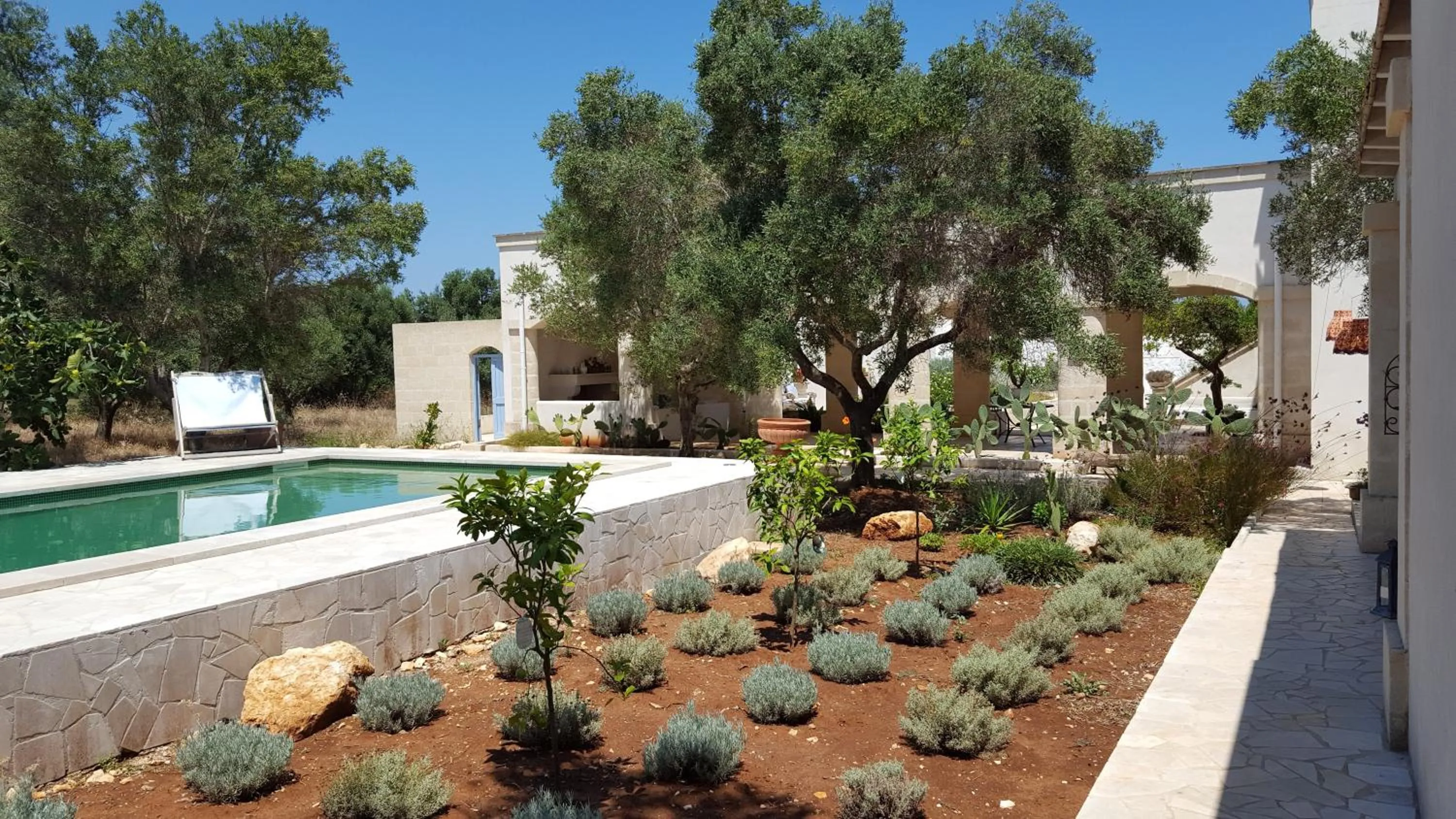 Garden in The Proud Garden