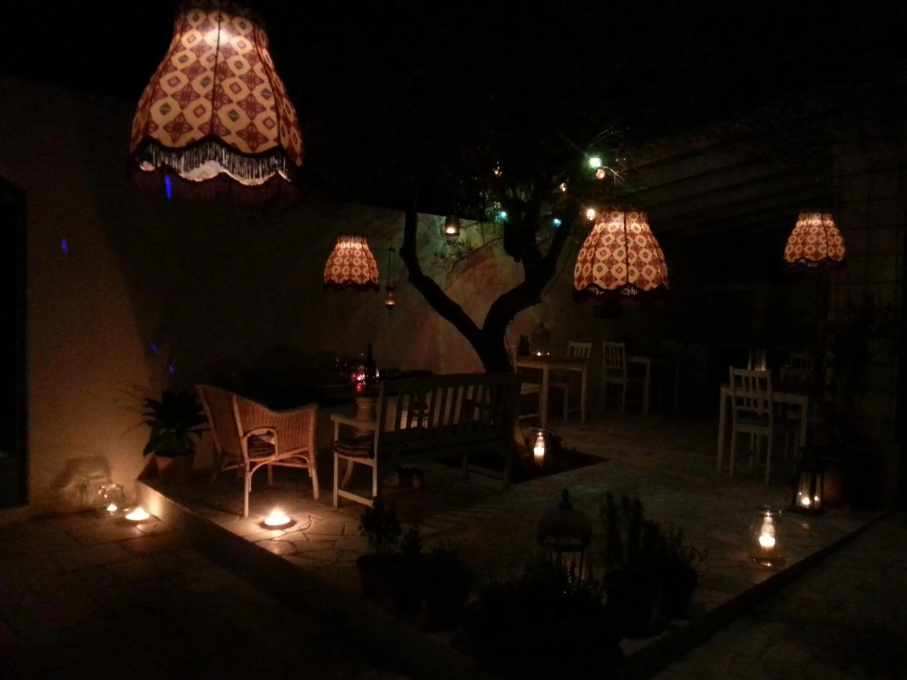 Patio in The Proud Garden