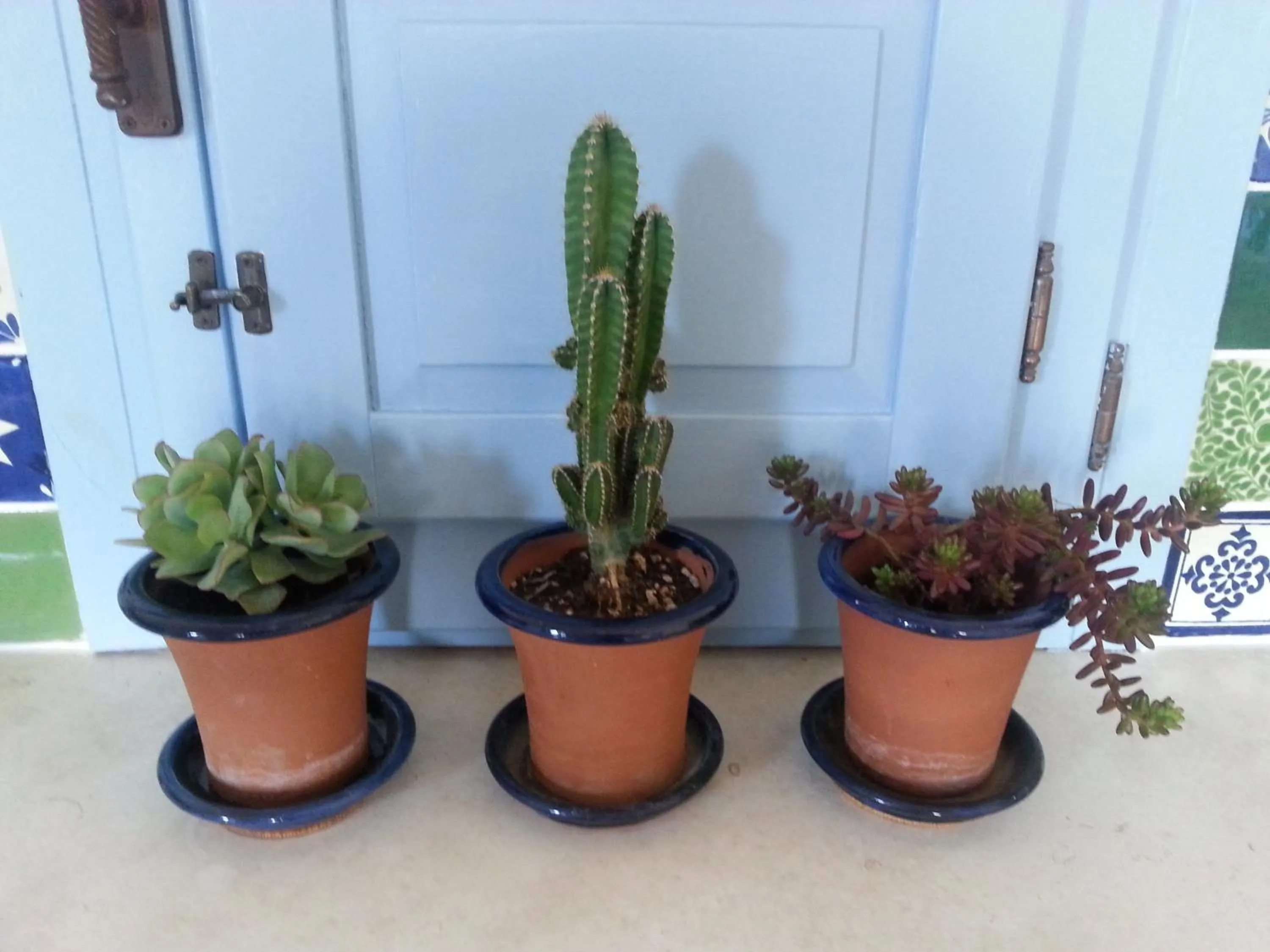 Kitchen or kitchenette in The Proud Garden