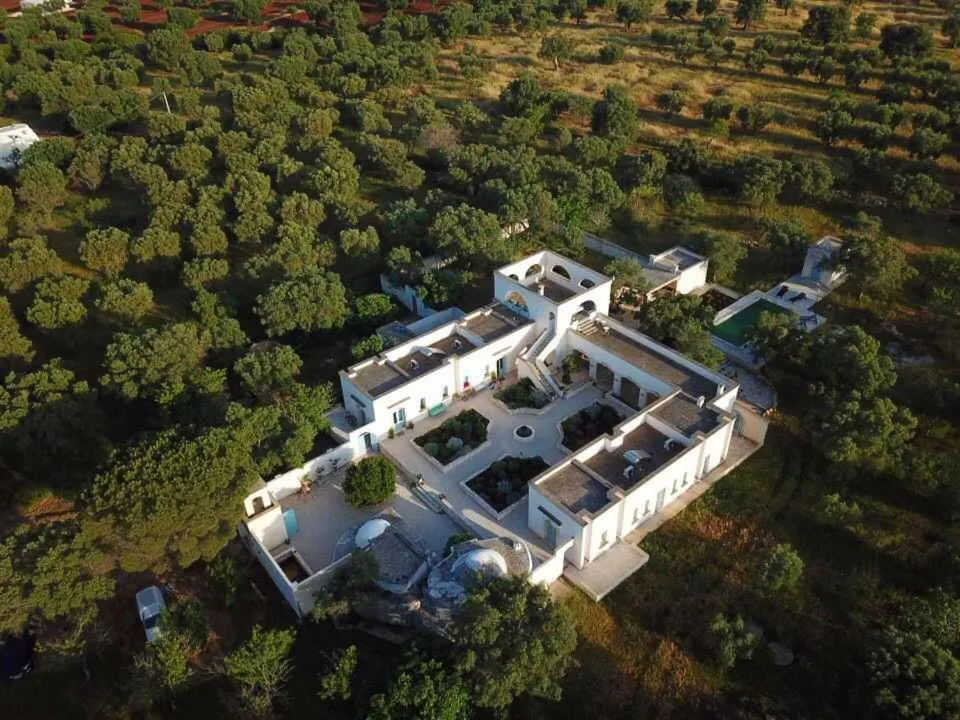 Bird's eye view in The Proud Garden